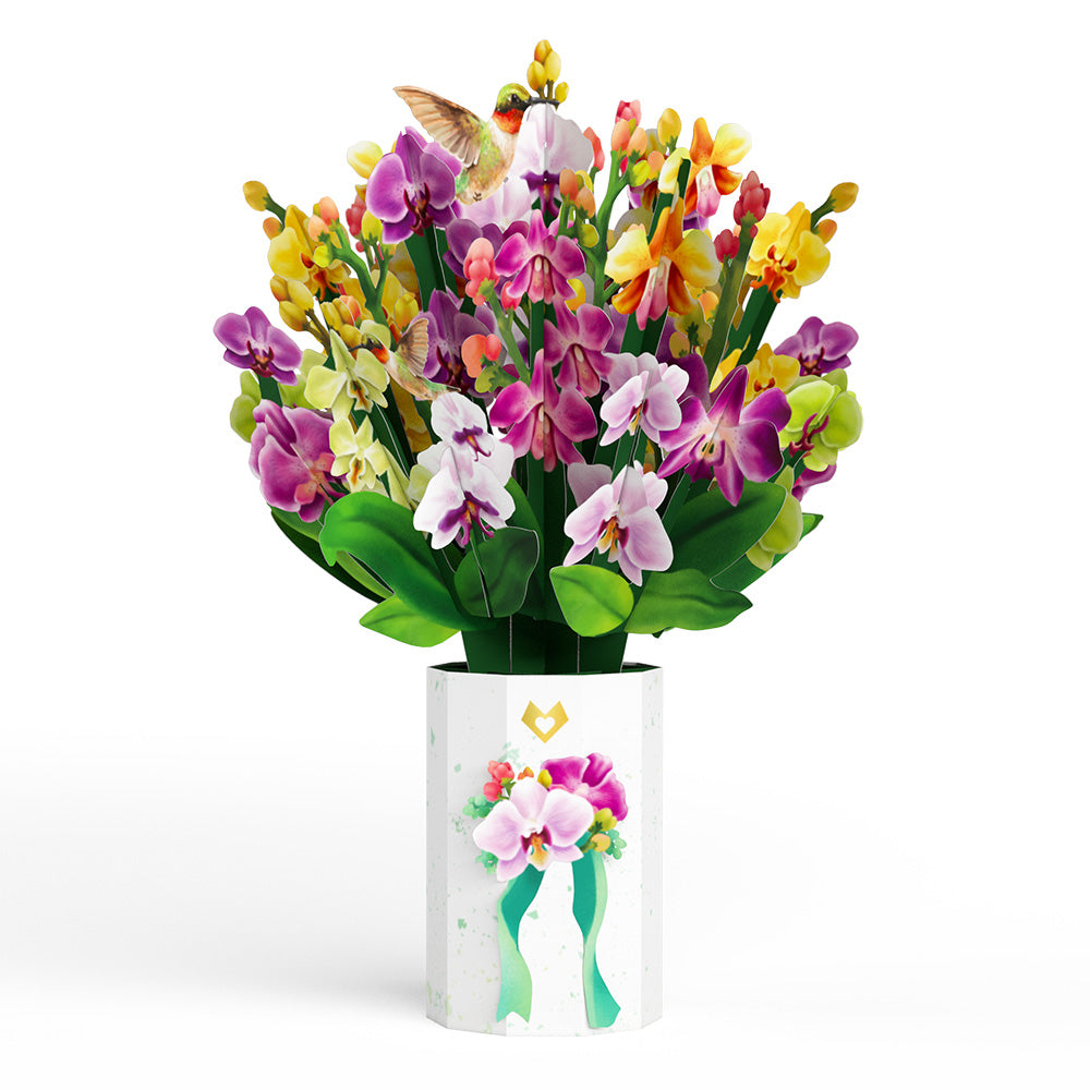 Mother's Day Orchid Bundle、mySite、solidvoid