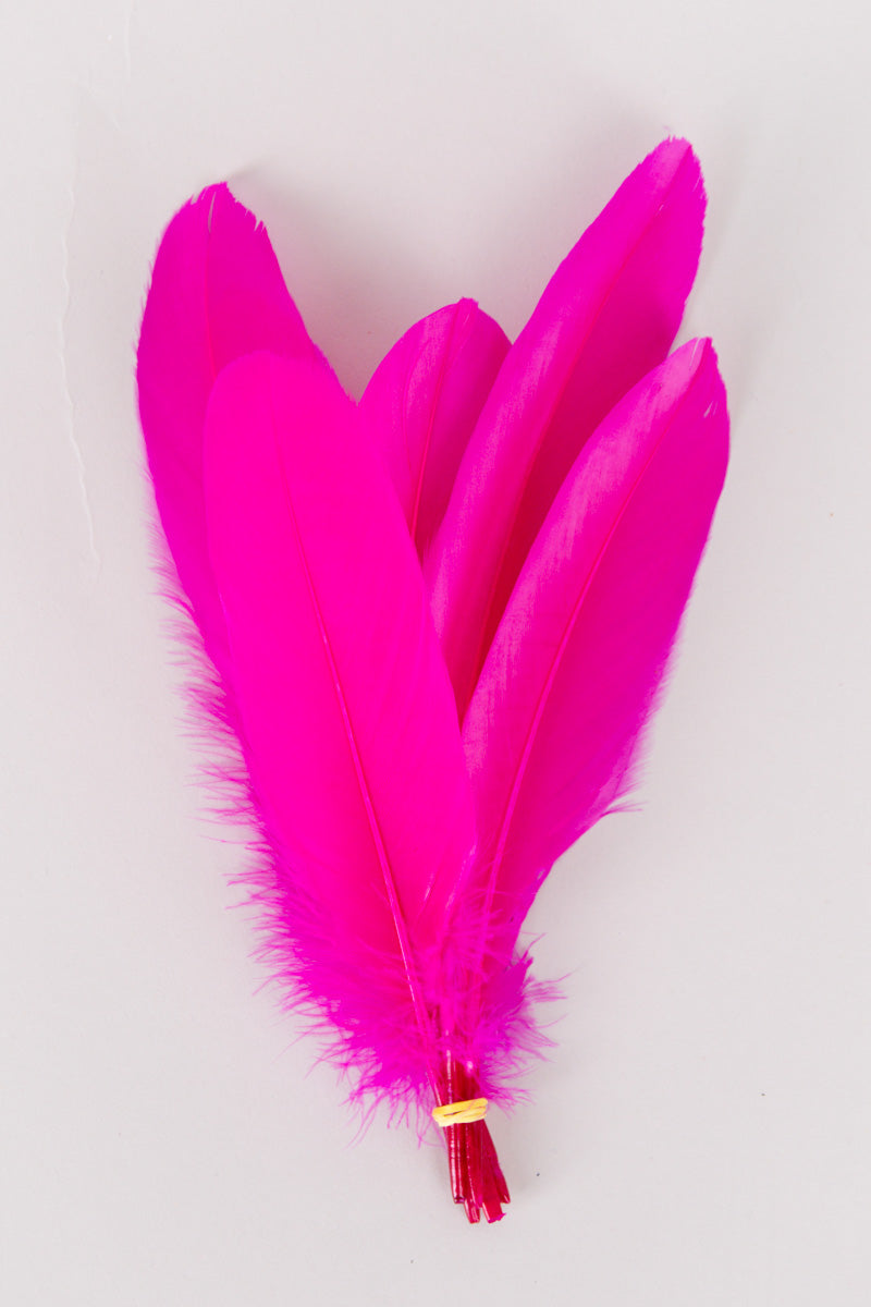 Goose Feathers Bundle of 6 - Yellow Rubber Band - FINAL SALE、mySite、hinf8tx79