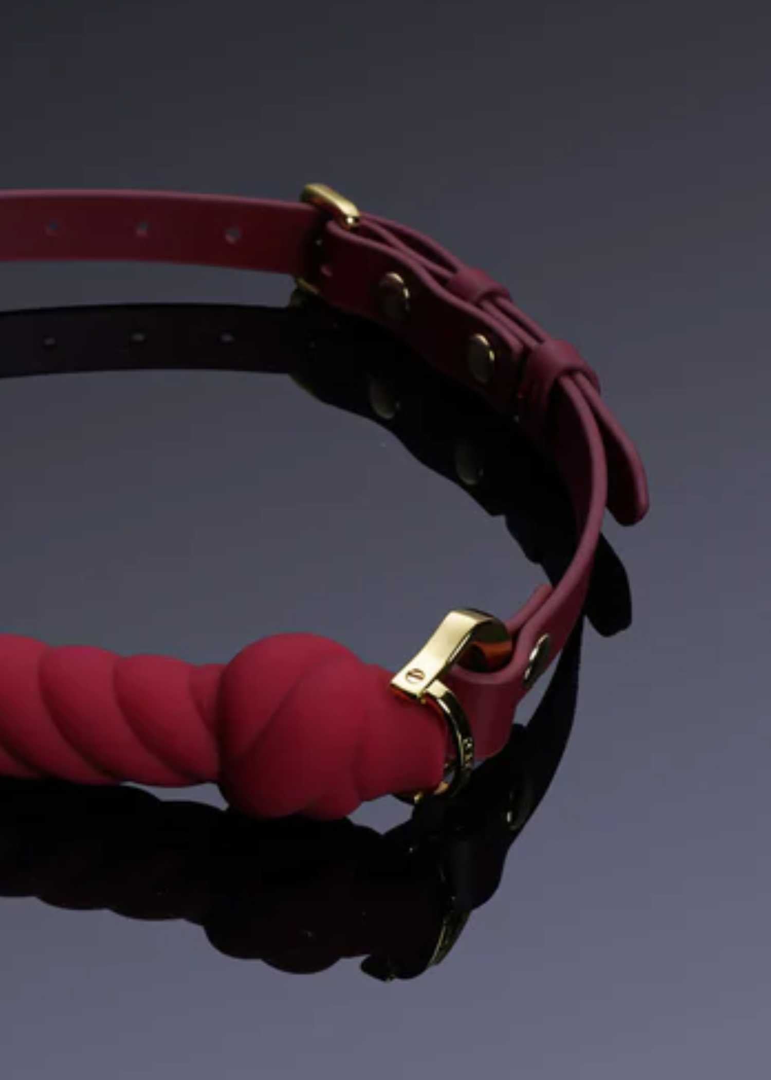  Desire of Mouth Knot Shaped Mouth Gag (Red)、mySite、justintrudeaud