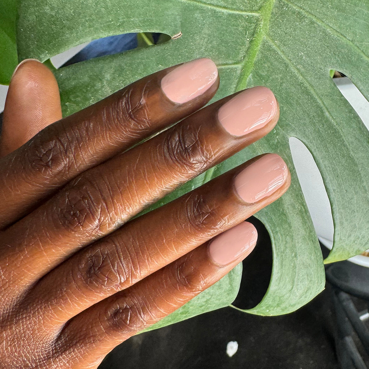 Sheer & Neutral Gel Polish Set、mySite、solidvoid