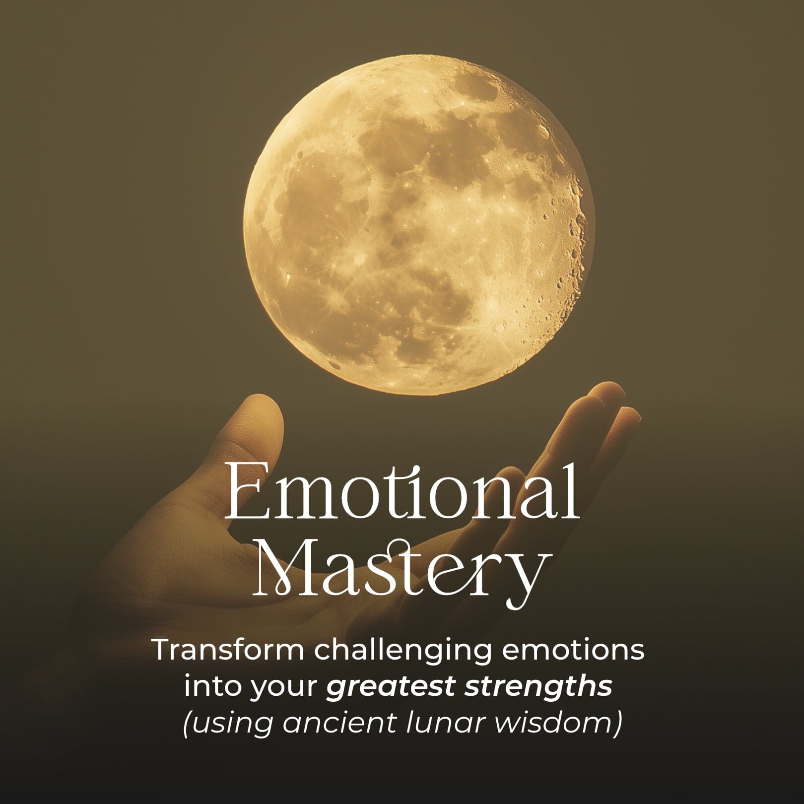 Moon Reading、mySite、hinf8tx79