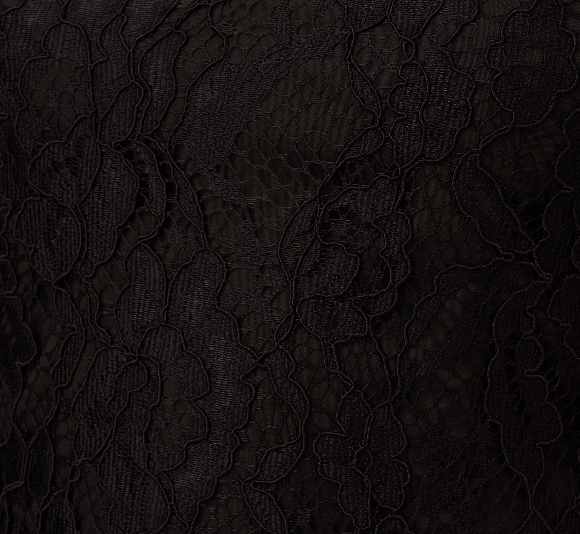 Floral Lace And Feather Trimmed Short Sheath Cocktail Dress In Black、mySite、solidvoid