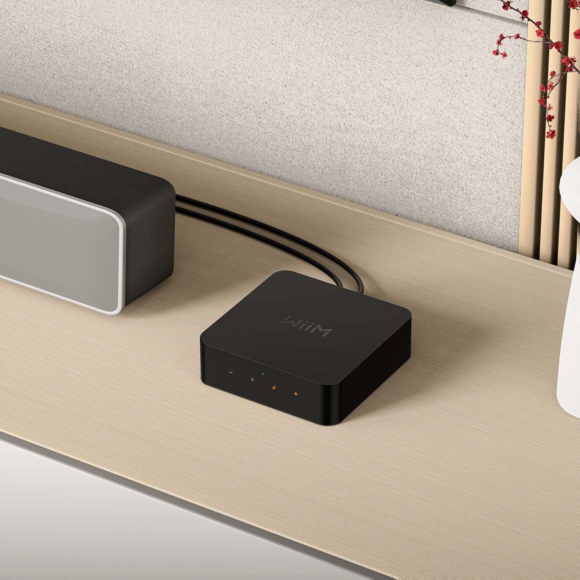  WiiM - Pro / Pro Plus、mySite、merchandisen