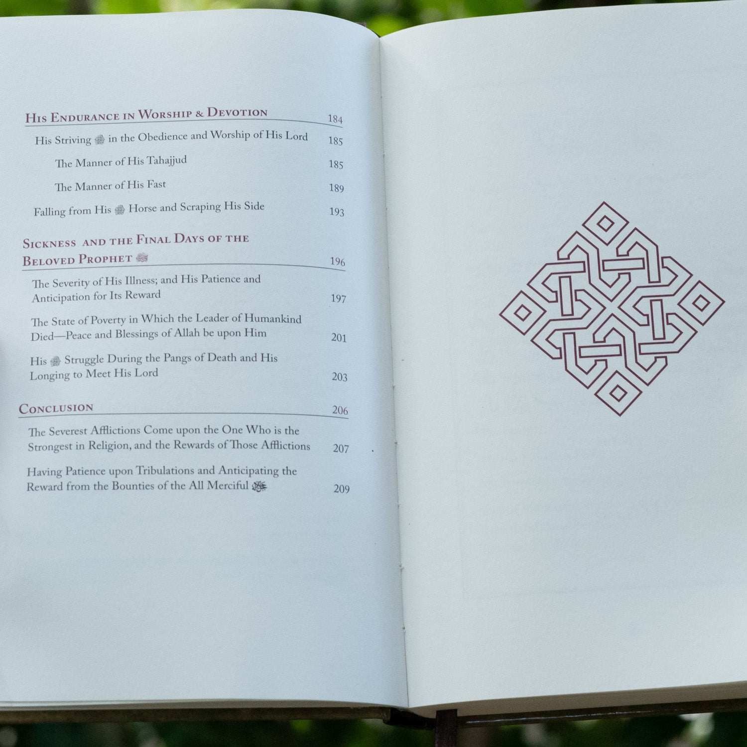 Sacrifice: The Legacy of our Beloved Prophet s.a.w.、mySite、topwebapps