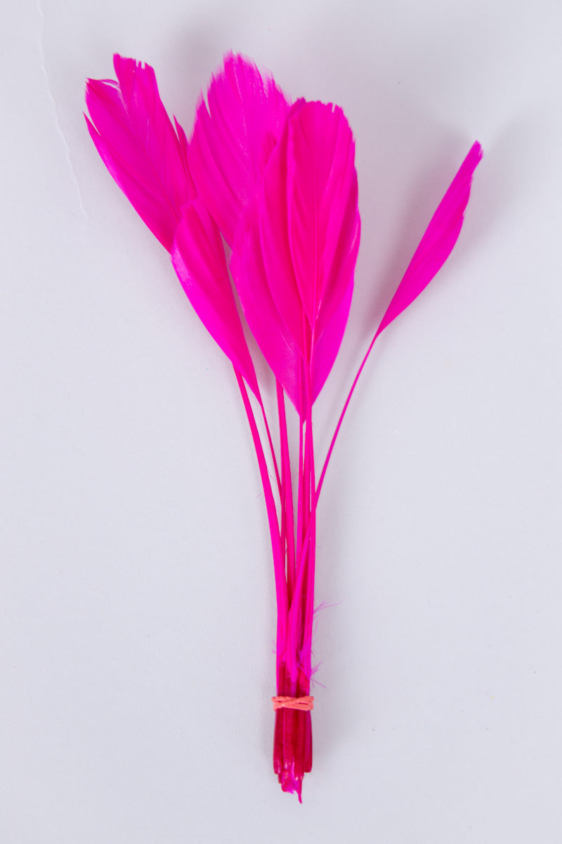 Stripped Coque Feathers Bundle of 8- Red Rubber Band、mySite、hinf8tx79