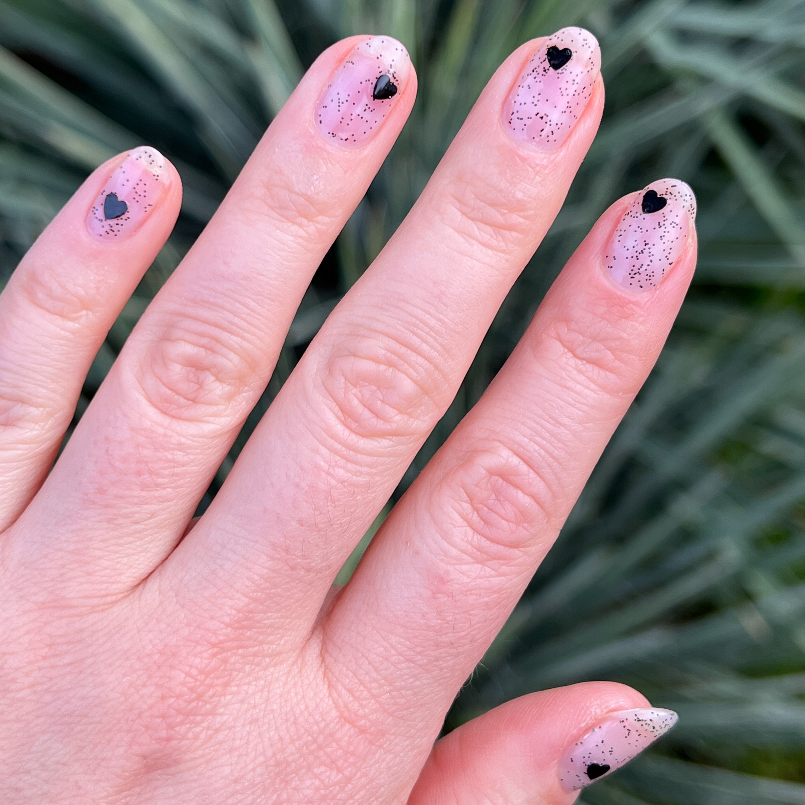 Internal - Cupid Who?、mySite、solidvoid