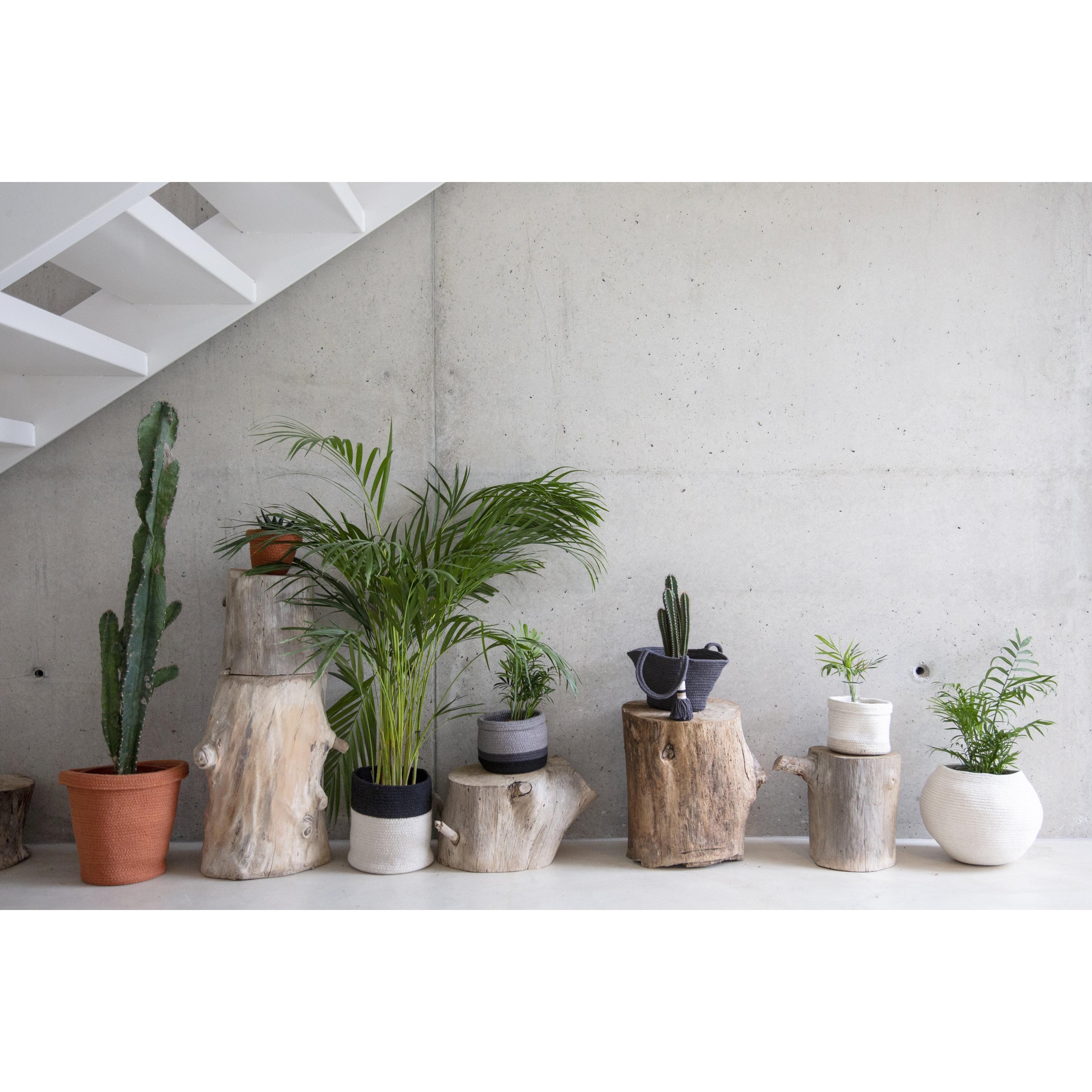 Mini Tricolor Ivory Basket、mySite、gigharbornorthrealestate