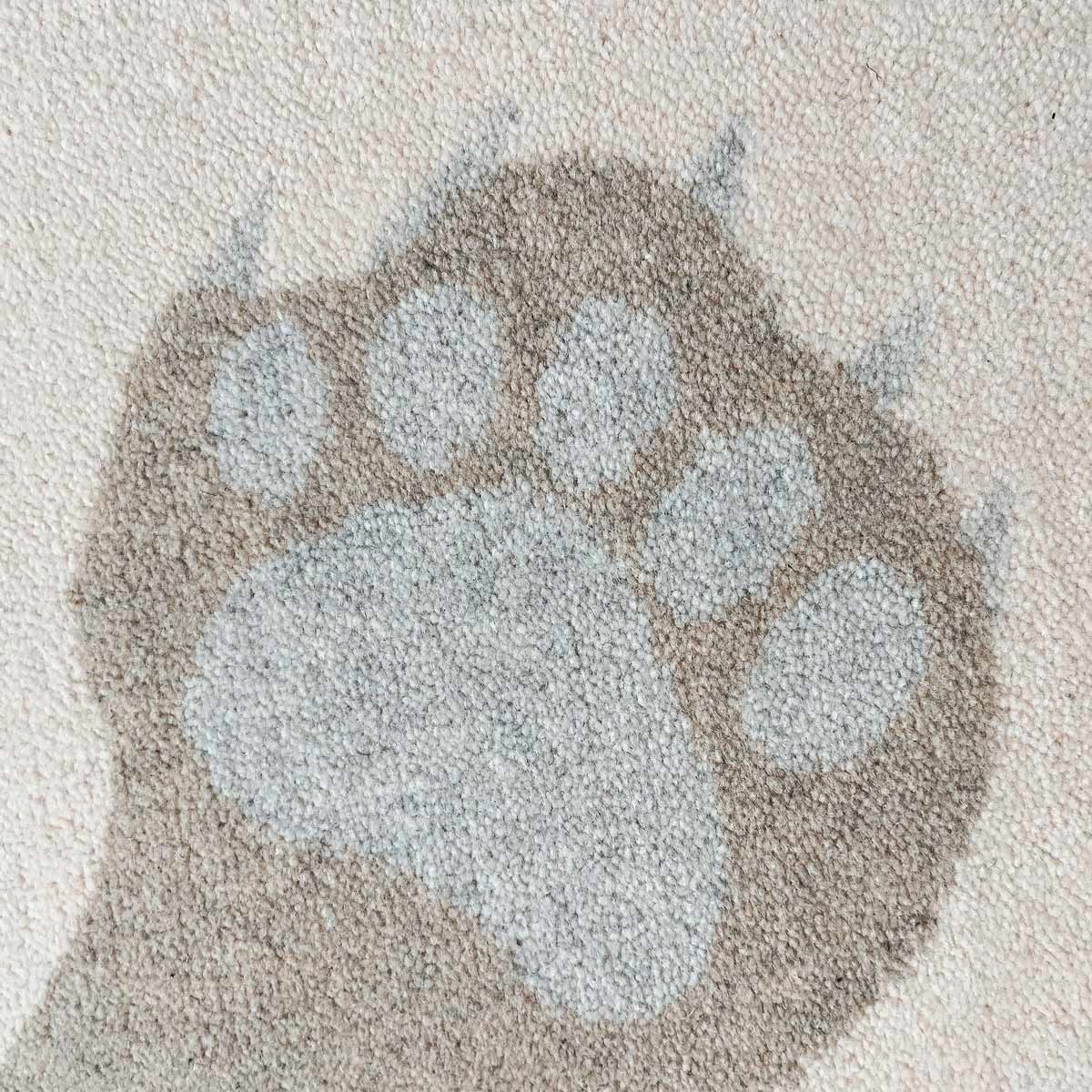 Bear Beige Area Rug、mySite、gigharbornorthrealestate