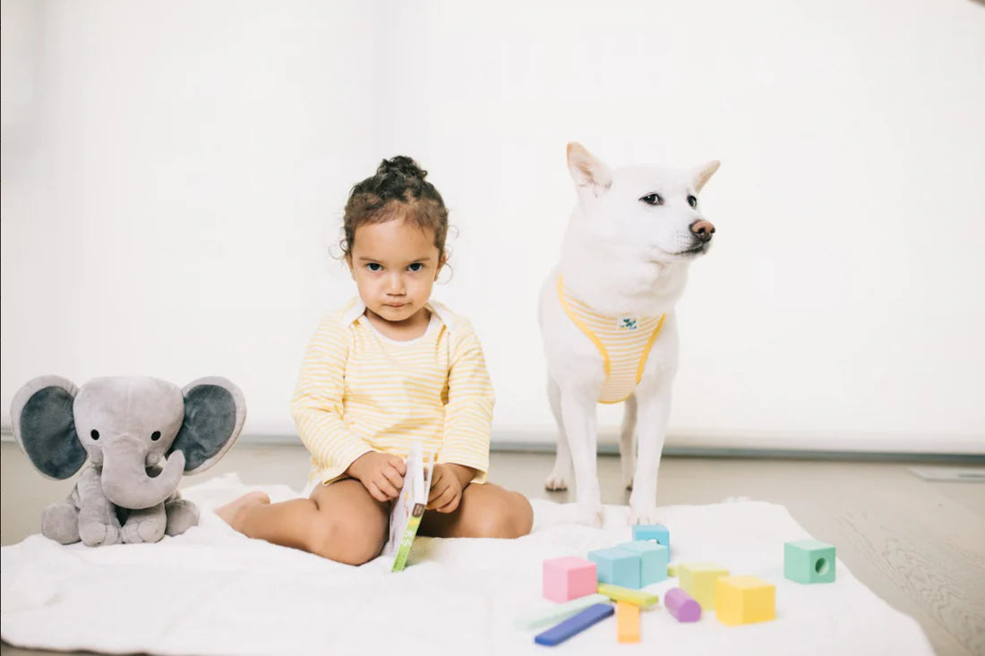 Baby Everyday Stripe Long Sleeve Bodysuit - Royal Yellow、mySite、g9winljtr