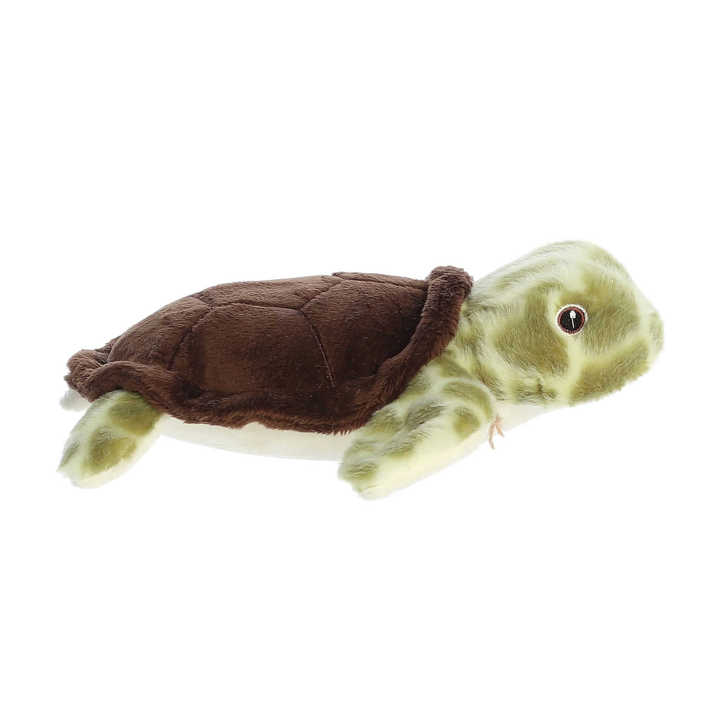 Aurora® - Eco Nation™ - Eco Softies™ - 8 Sea Turtle、mySite、g9winljtr