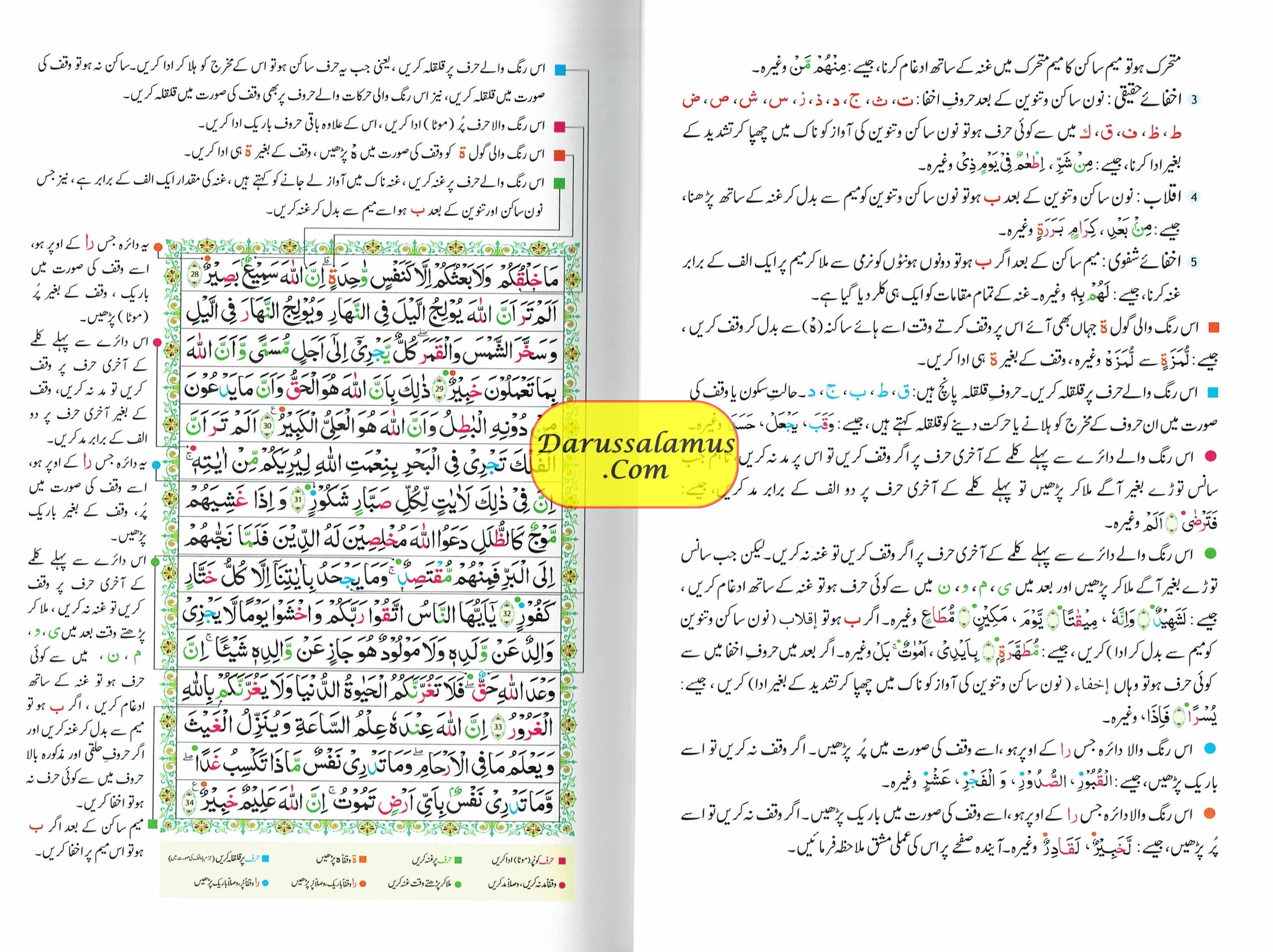 Tajweedi Quran with Urdu Tajweed Rules 16 Lines 8.5 x 6.0 Inch (7B) Hafzi Tajweedi, Medium Size、mySite、topwebapps