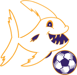 Ephrata Piranha PP - EPHR3、mySite、noshort