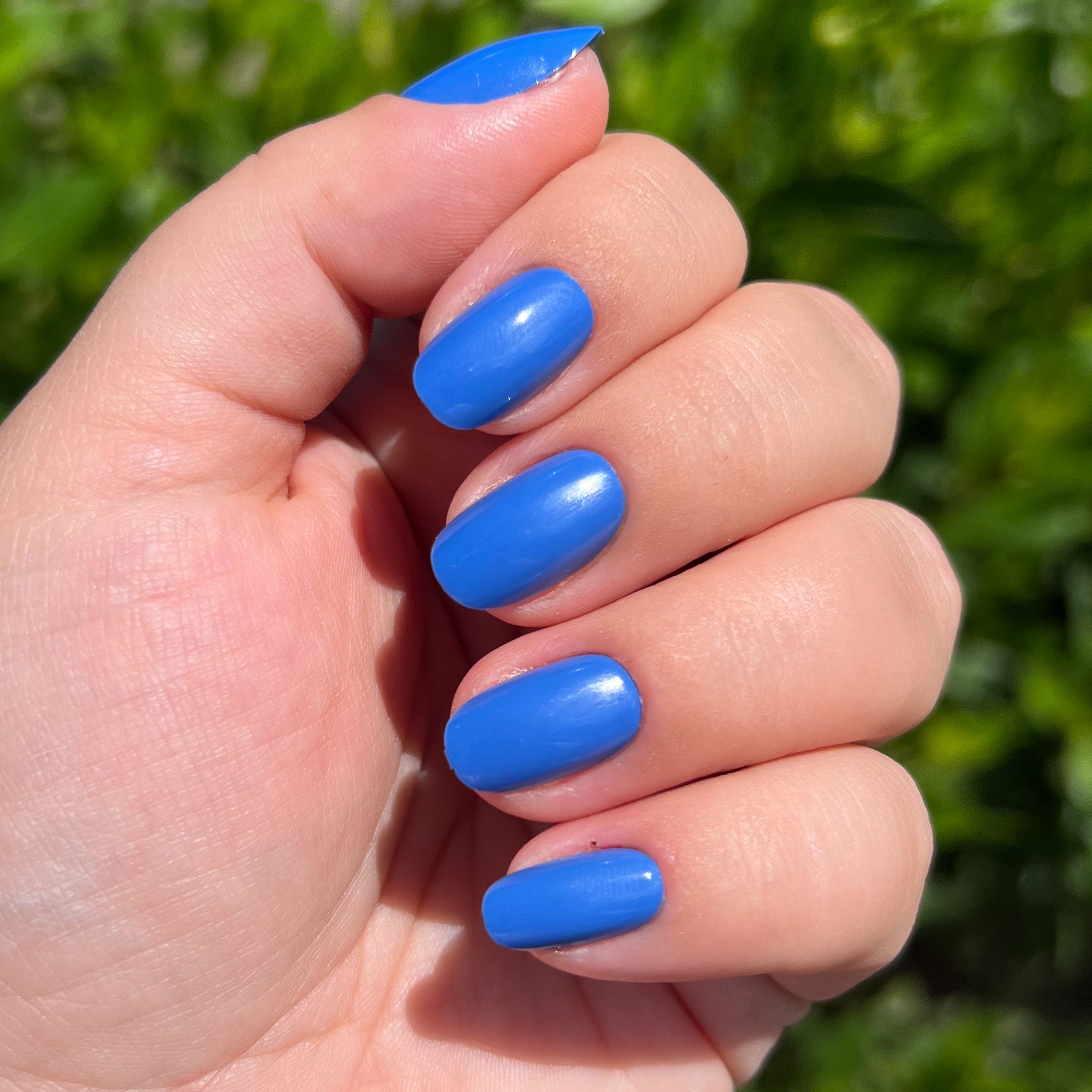 Blue Canoe | Round | Short、mySite、solidvoid