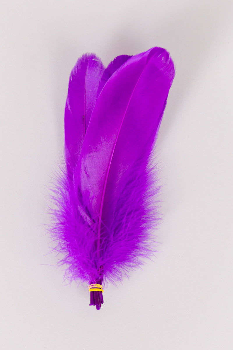 Goose Feathers Bundle of 6 - Yellow Rubber Band - FINAL SALE、mySite、hinf8tx79