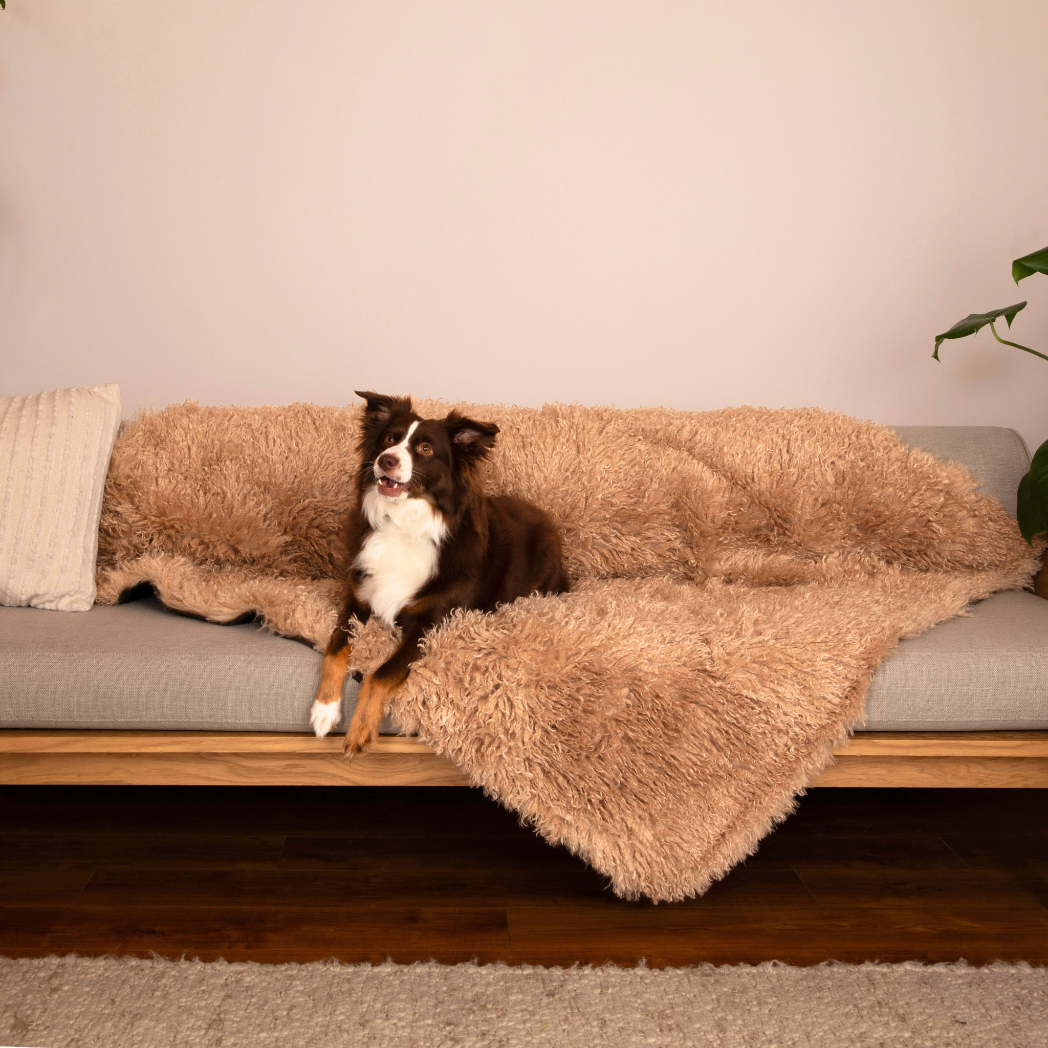 PupProtector™ Luxe Waterproof Faux Fur Blanket - Plush Sheep Tan、mySite、solidvoid