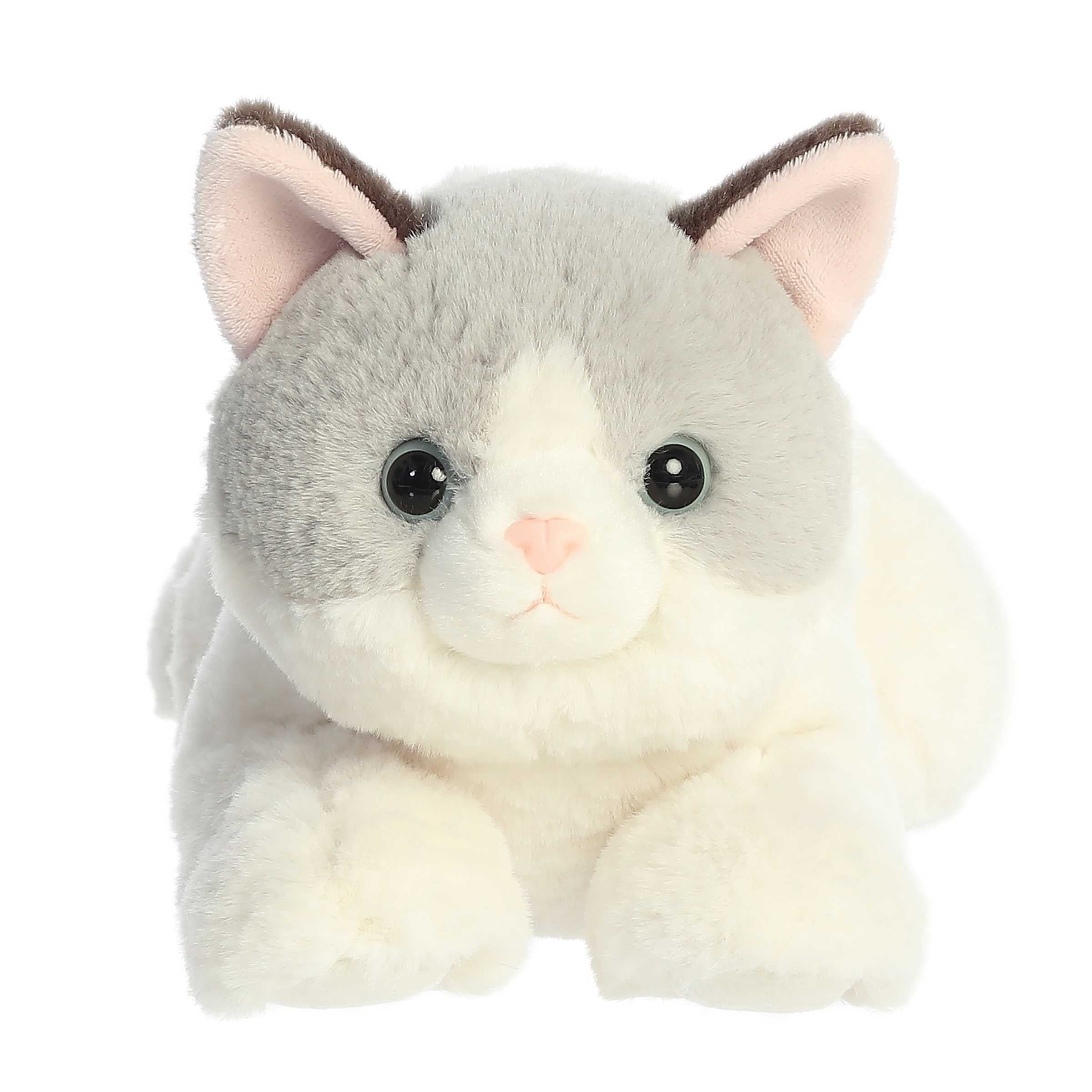 Aurora® - Flopsie™ - 12 Nico Ragdoll、mySite、g9winljtr