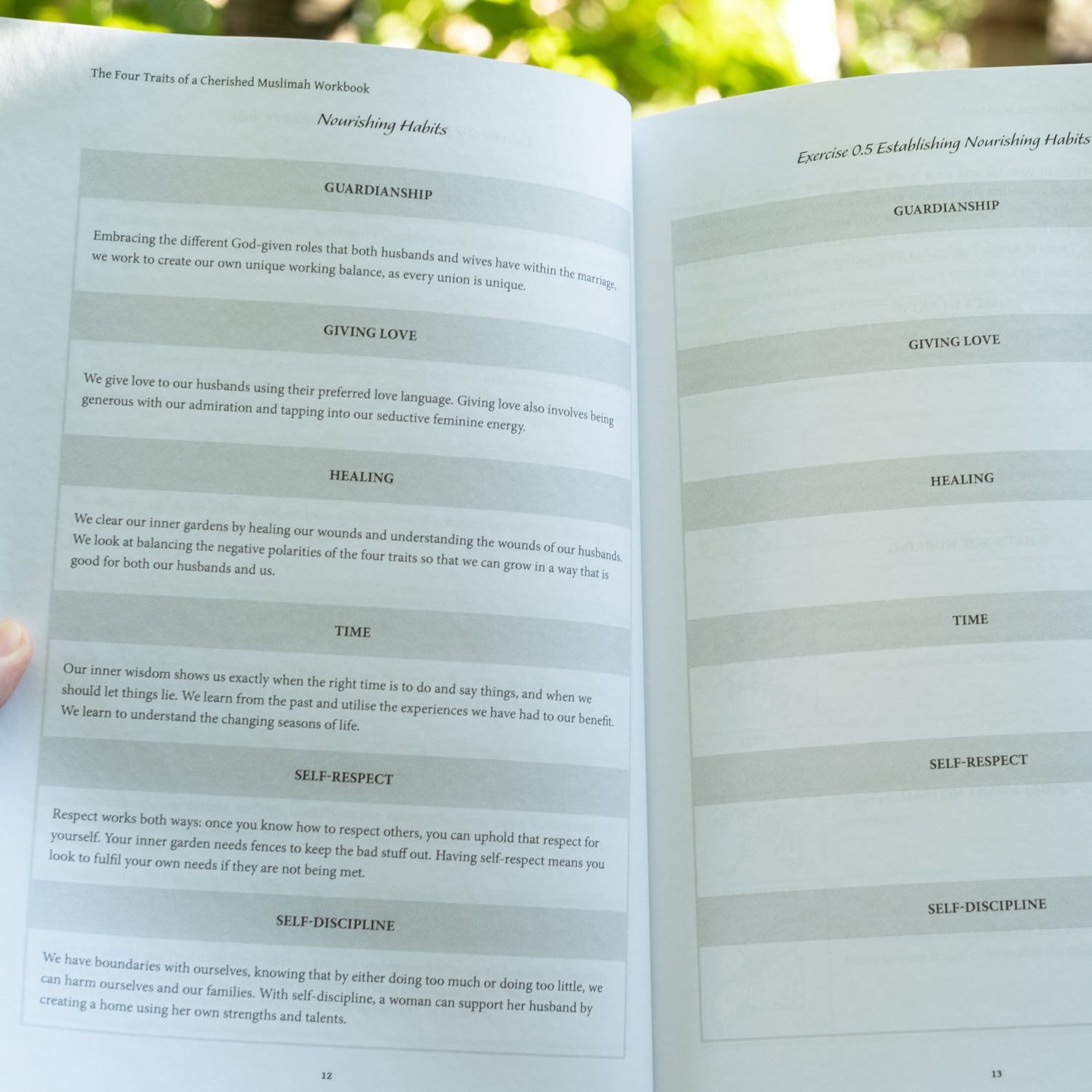 The Four Traits of a Cherished Muslimah Workbook、mySite、topwebapps