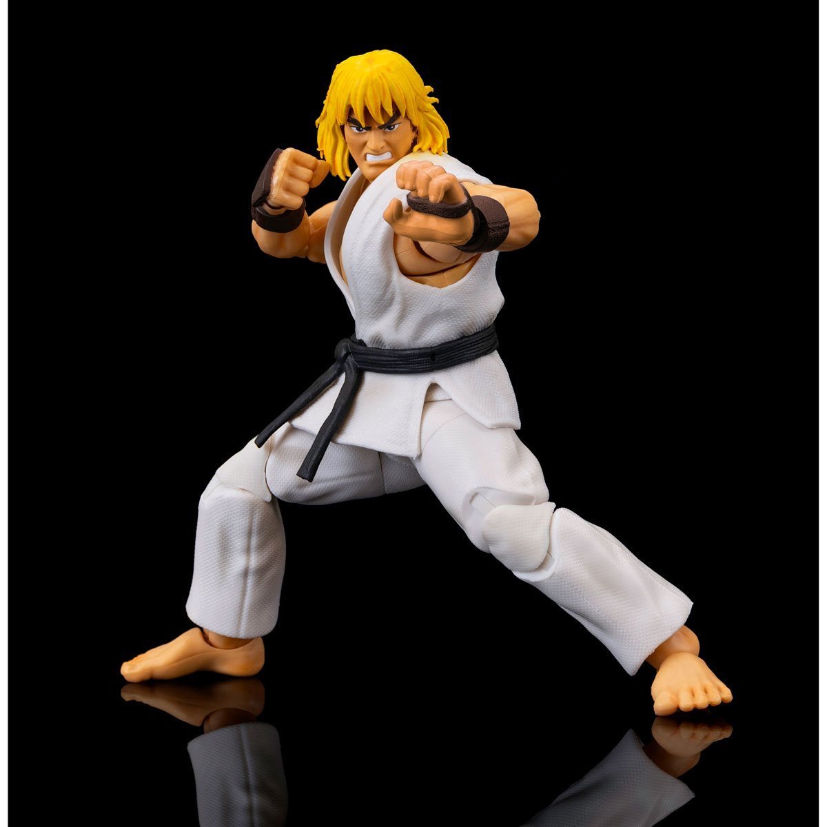 Street Fighter Exclusive Ken (Player 2 Version)、mySite、hgirdovlk