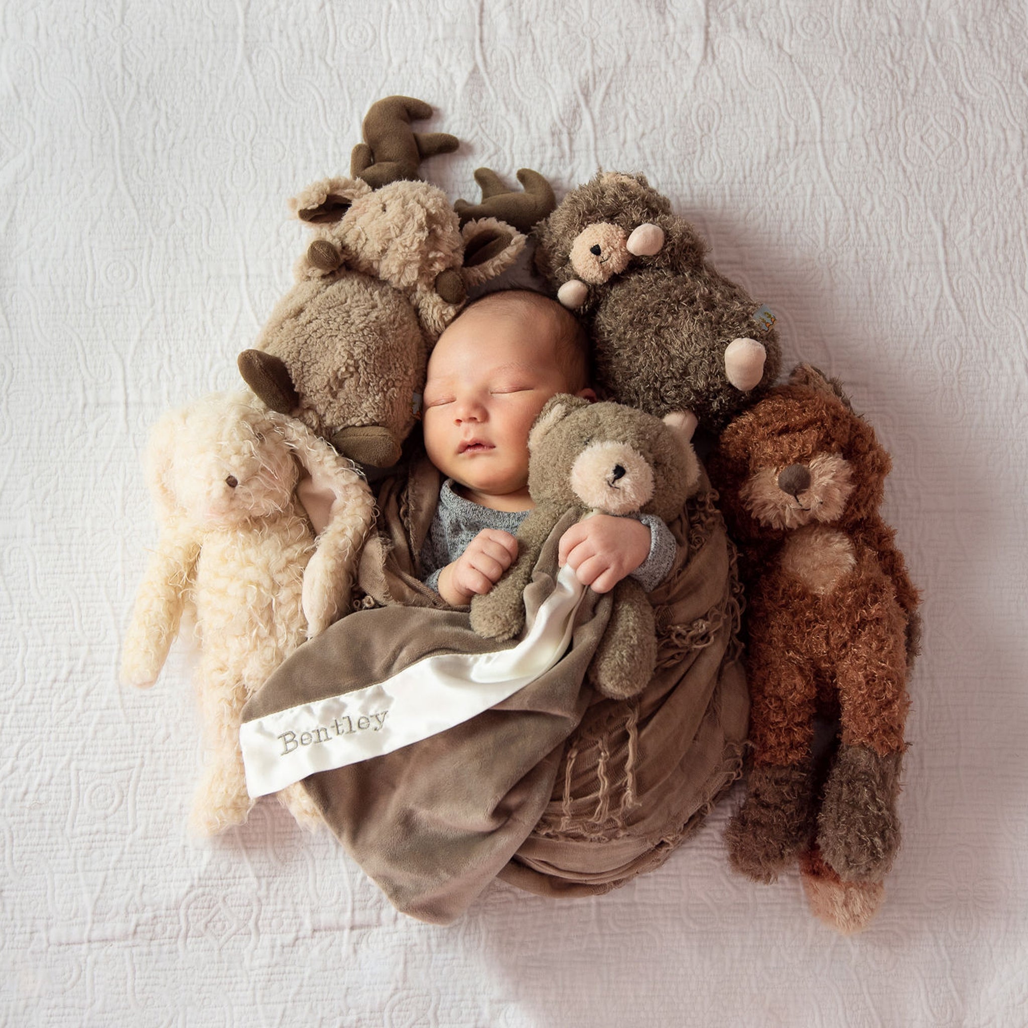 Foxy the Fox、mySite、g9winljtr