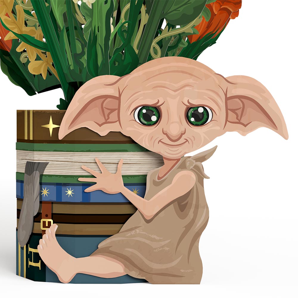 Harry Potter™ Dobby™ Birthday Pop-Up Card & Flower Buds Bouquet Bundle、mySite、solidvoid