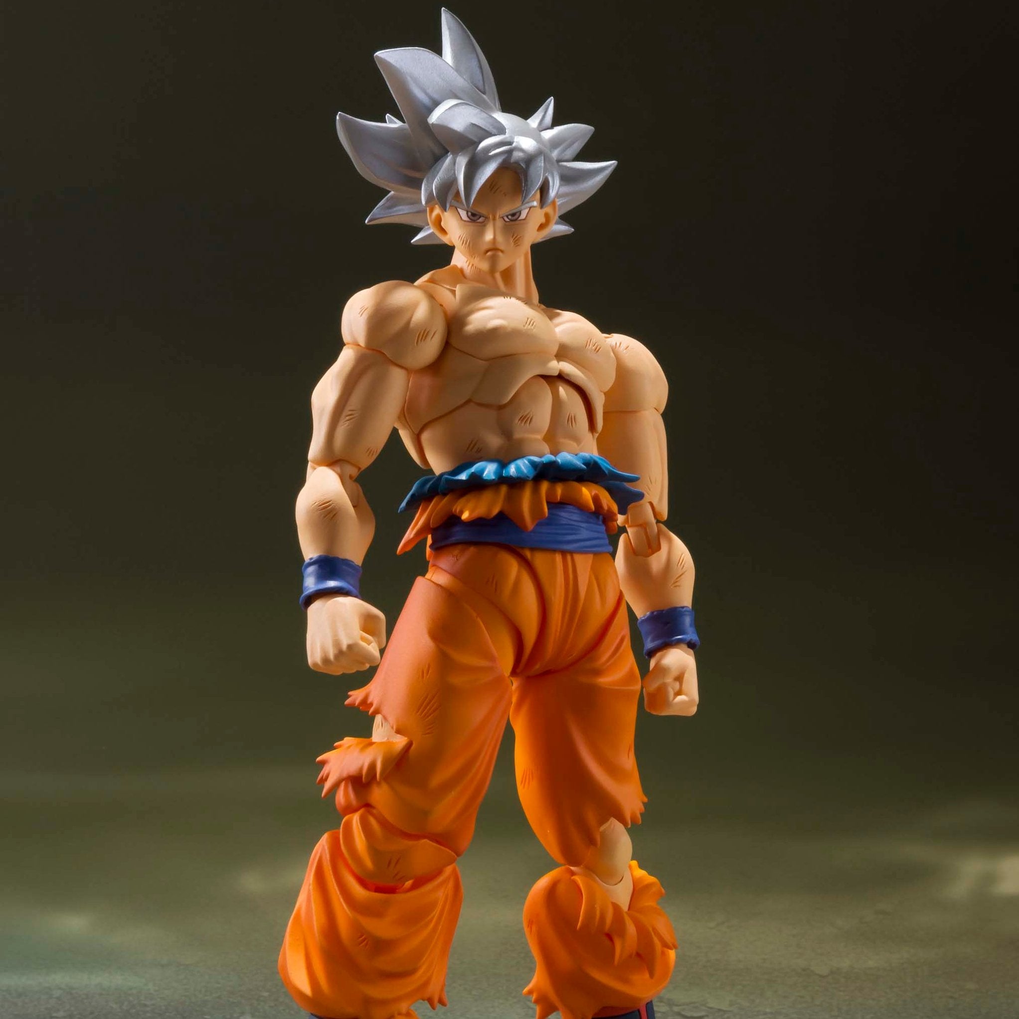 S.H. Figuarts Dragon Ball Super Son Goku Ultra Instinct (Reissue)、mySite、hgirdovlk