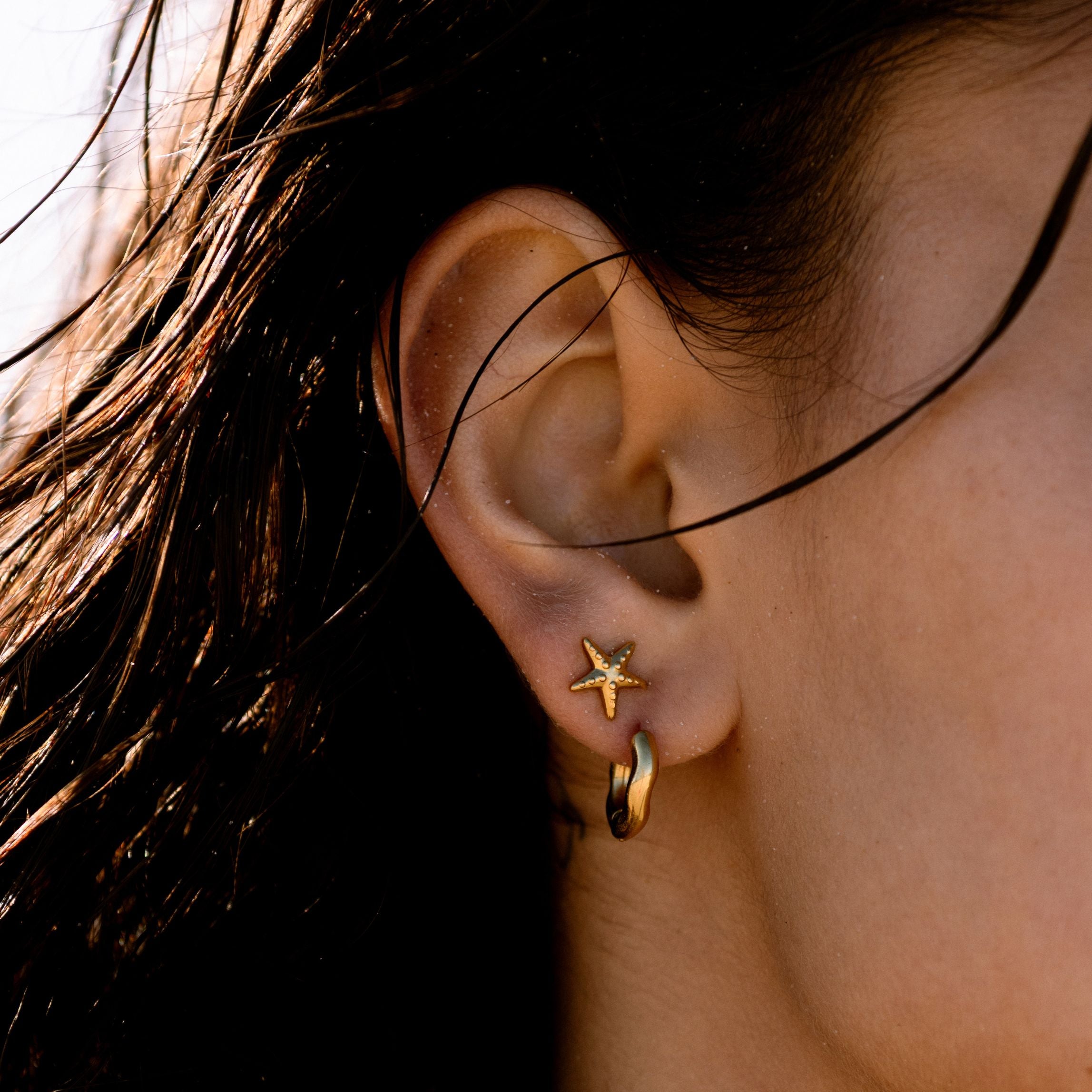 Starfish Earrings、mySite、hinf8tx79