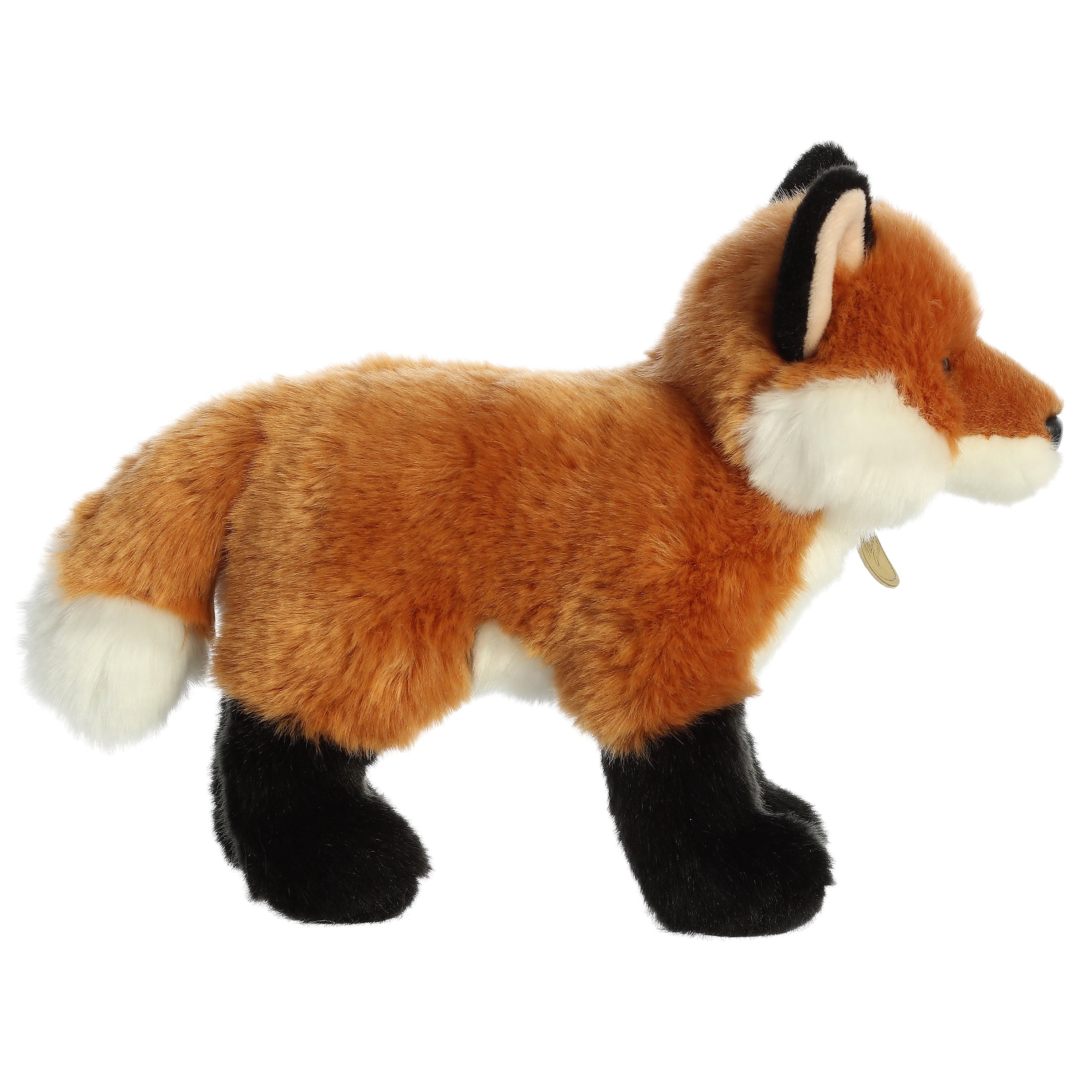 Aurora® - Miyoni® - 10 Fox、mySite、g9winljtr