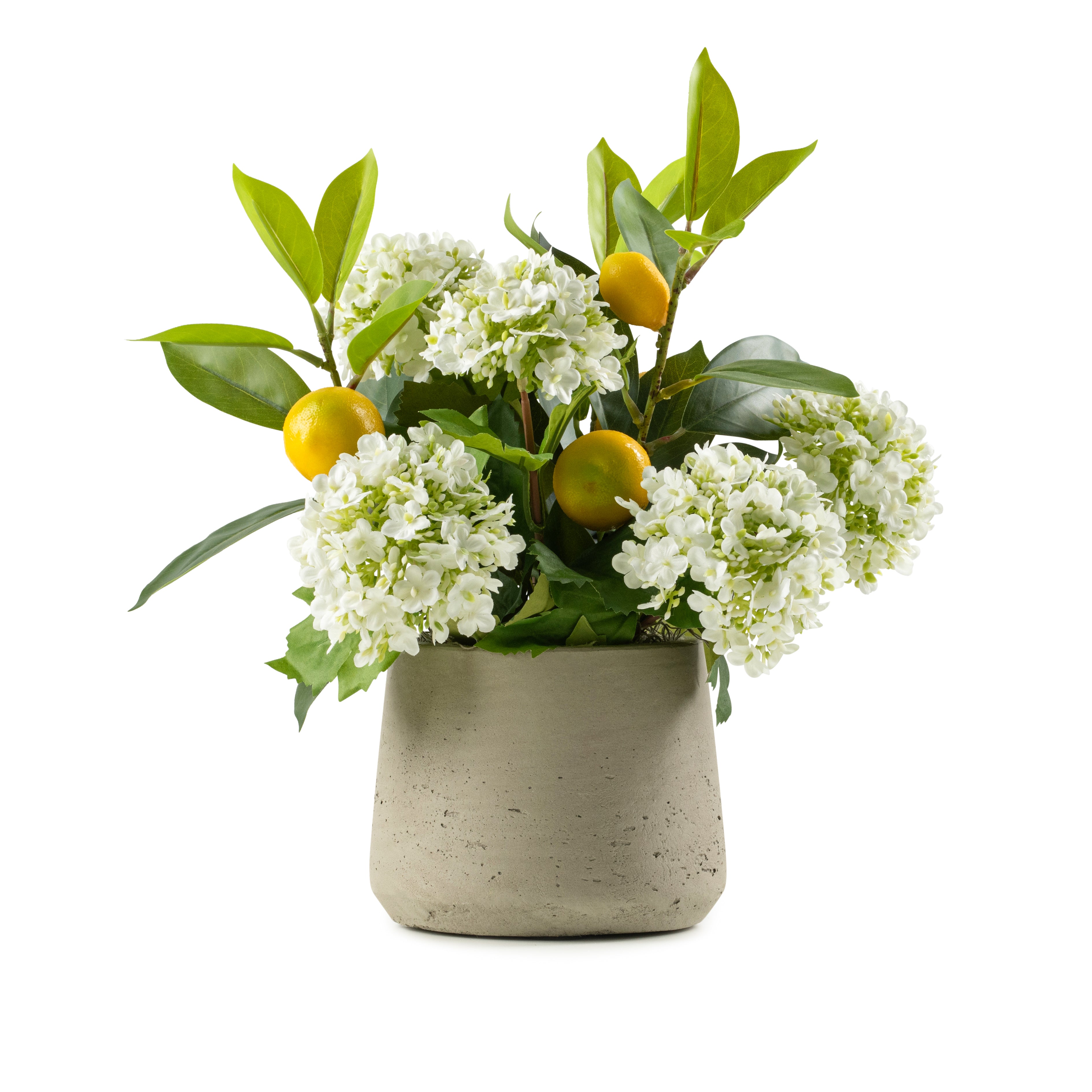  DH Lemons and White Buds in Grey Patt Pot、mySite、elrpsem3k