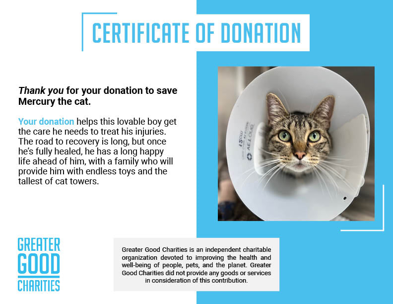 Funded - Give Mercury the Chance to Walk Again、mySite、camillekostekn