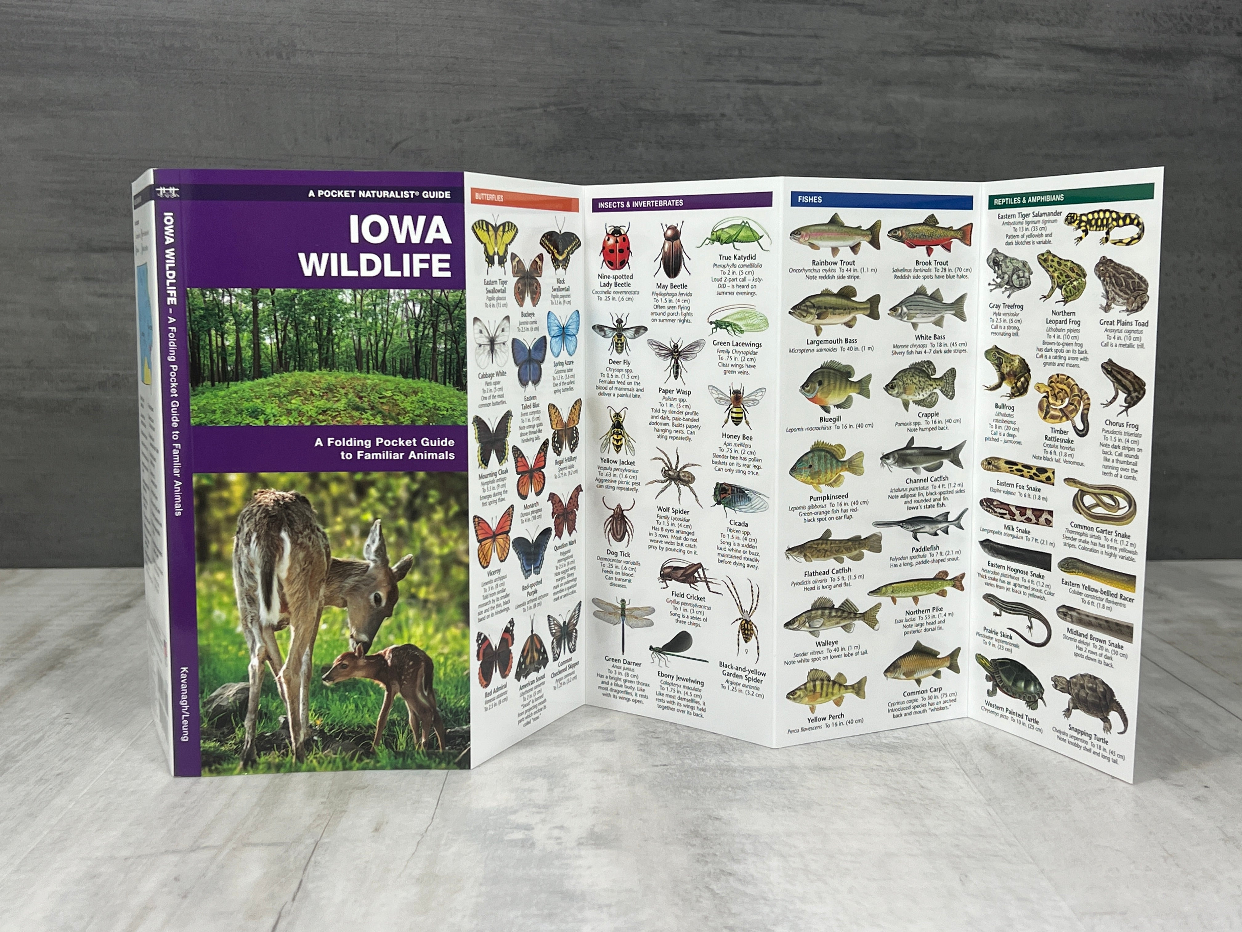 Iowa Nature Booklet、mySite、garagedoors4me