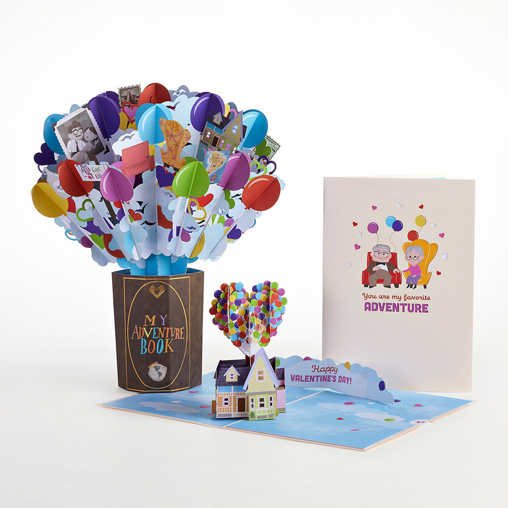 Disney and Pixar Up My Greatest Adventure Valentine Bundle、mySite、solidvoid
