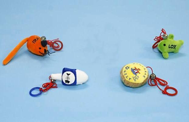 Crazy Kitty Cat Nip Toys、mySite、topwebapps