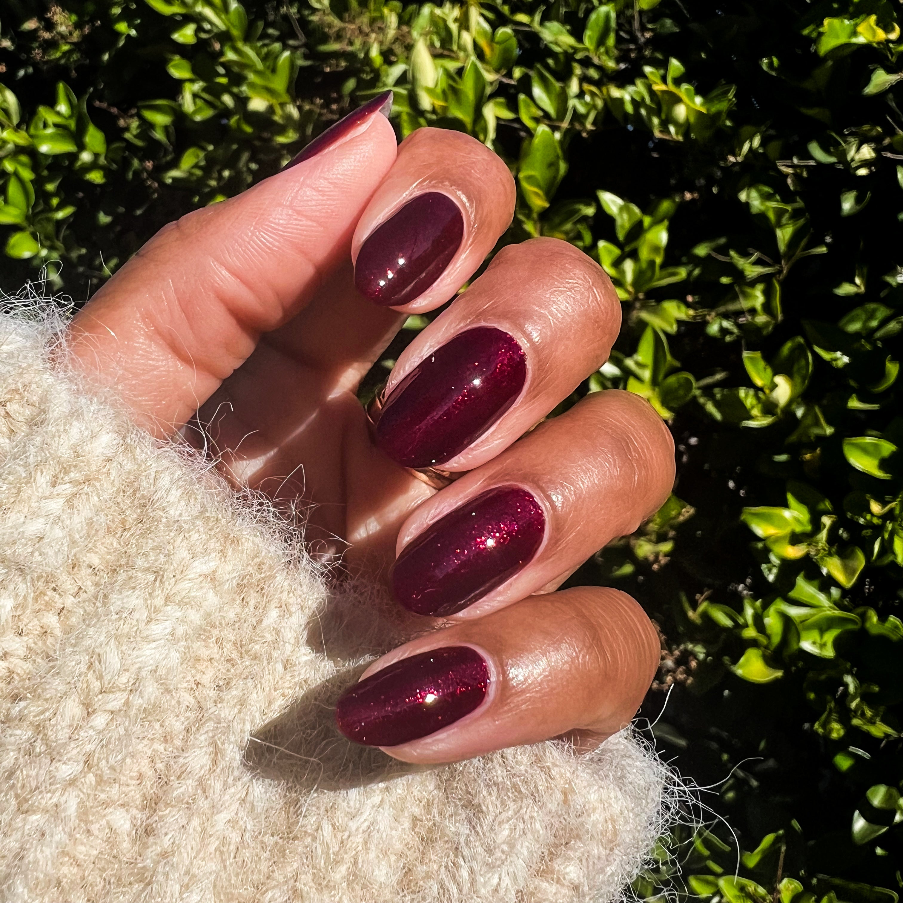 Bittersweet Cherry、mySite、solidvoid