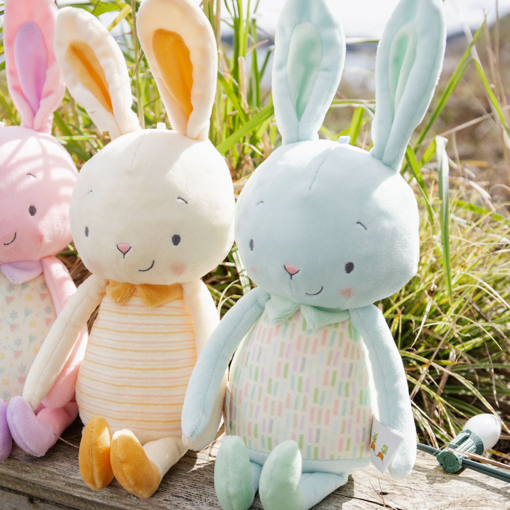 Jelly Buns - Mint Jelly、mySite、g9winljtr