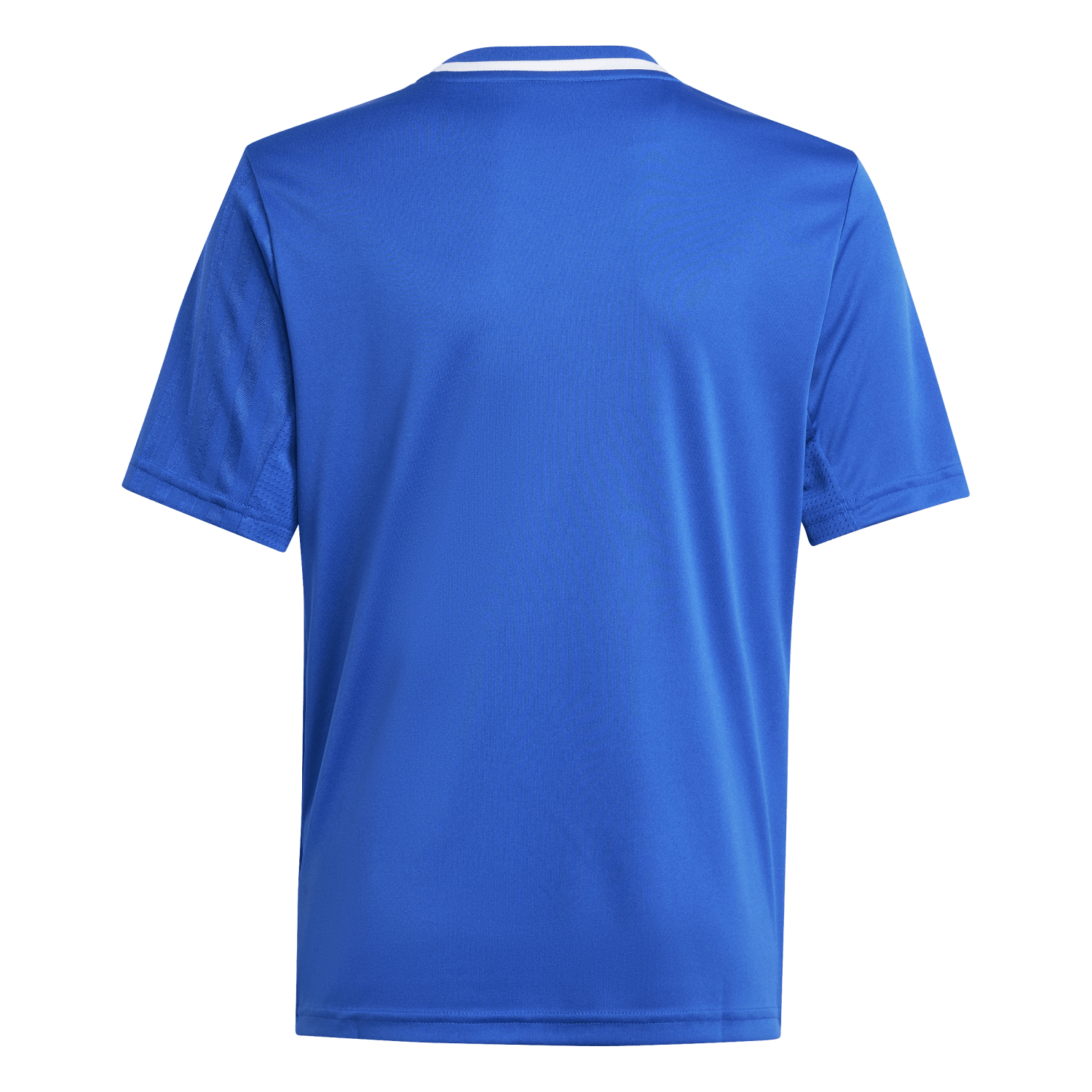 adidas Youth Campeon 25 Jersey - Royal、mySite、noshort