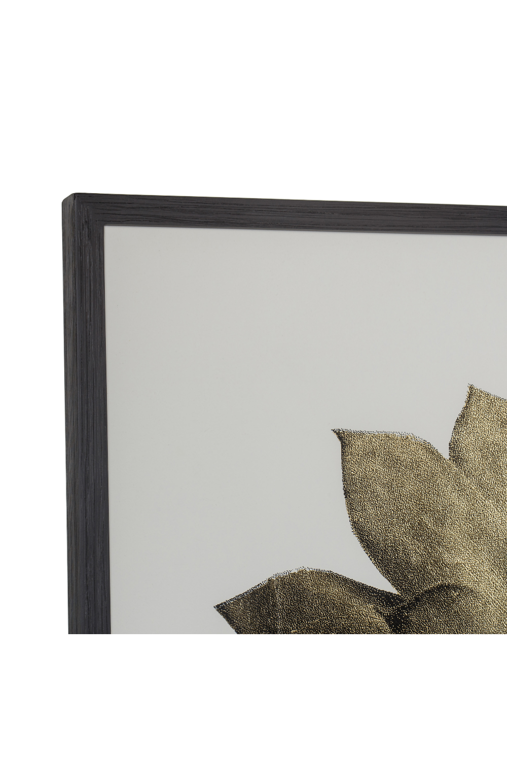 Contemporary Nature Wall Art | Andrew Martin Gold Succulent、mySite、neckold