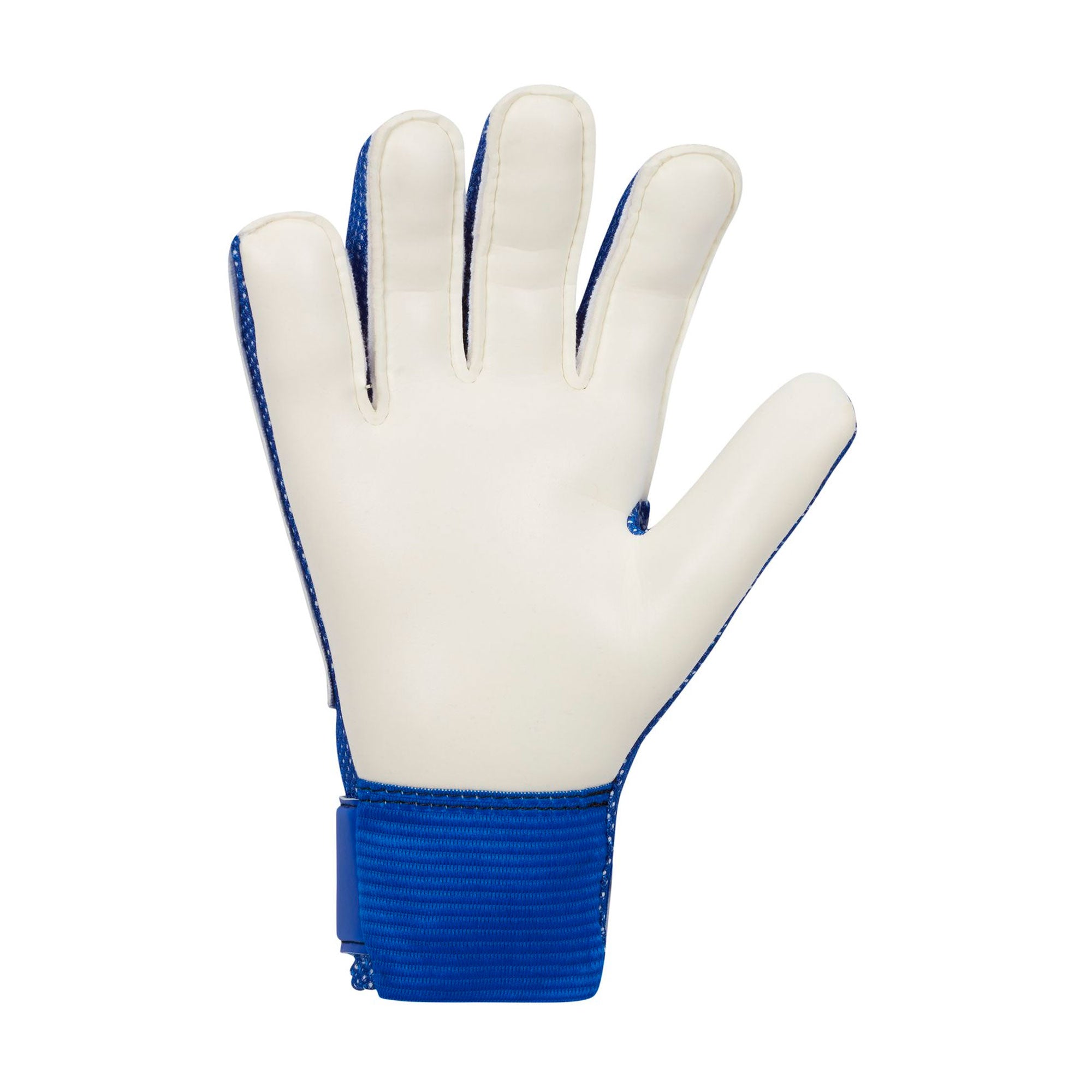 Nike Kids Match Goalkeeper Gloves Racer Blue/Photo Blue、mySite、noshort