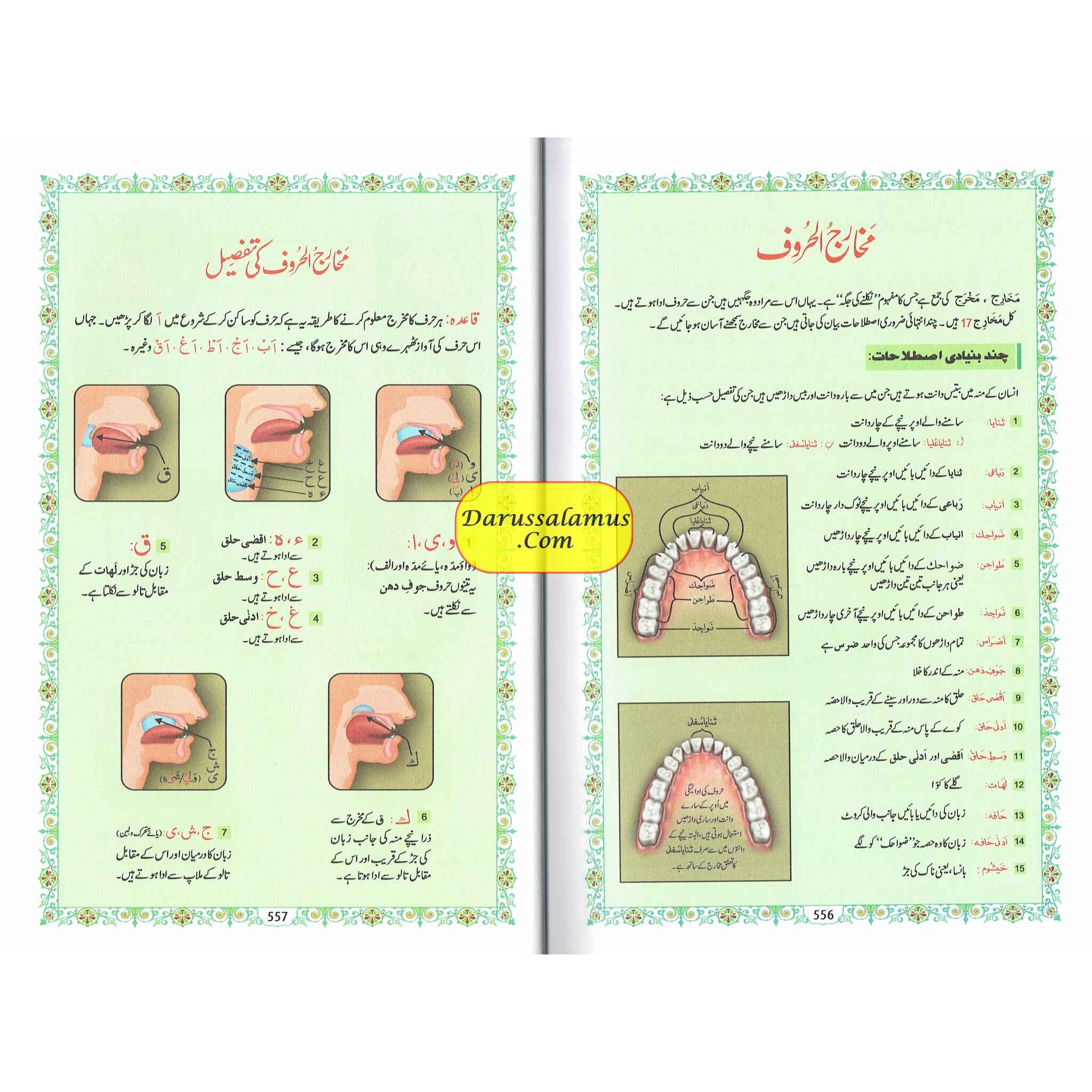 Tajweedi Quran with Urdu Tajweed Rules 16 Lines 8.5 x 6.0 Inch (7B) Hafzi Tajweedi, Medium Size,Standard Print、mySite、topwebapps