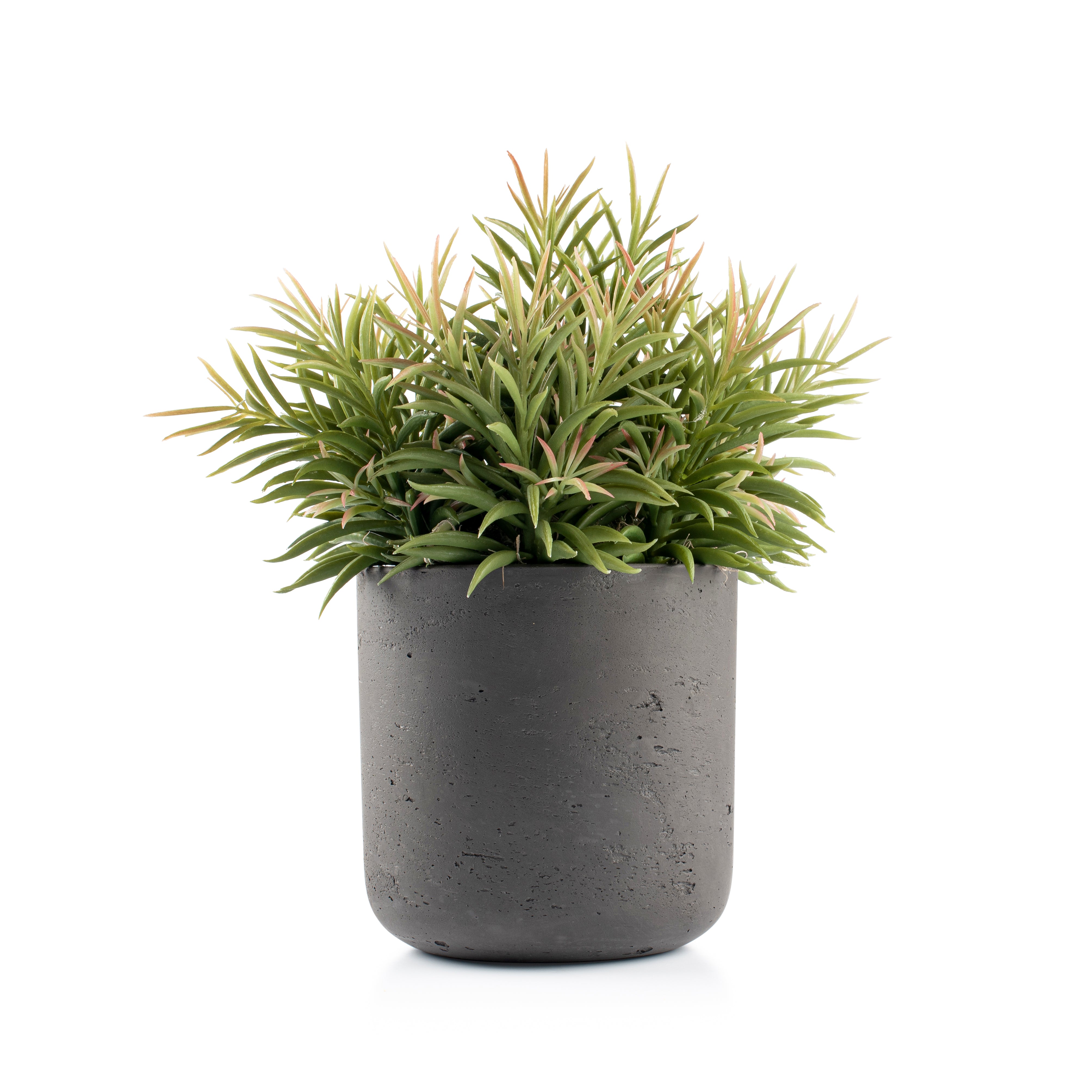  DH Succulents Pot、mySite、elrpsem3k