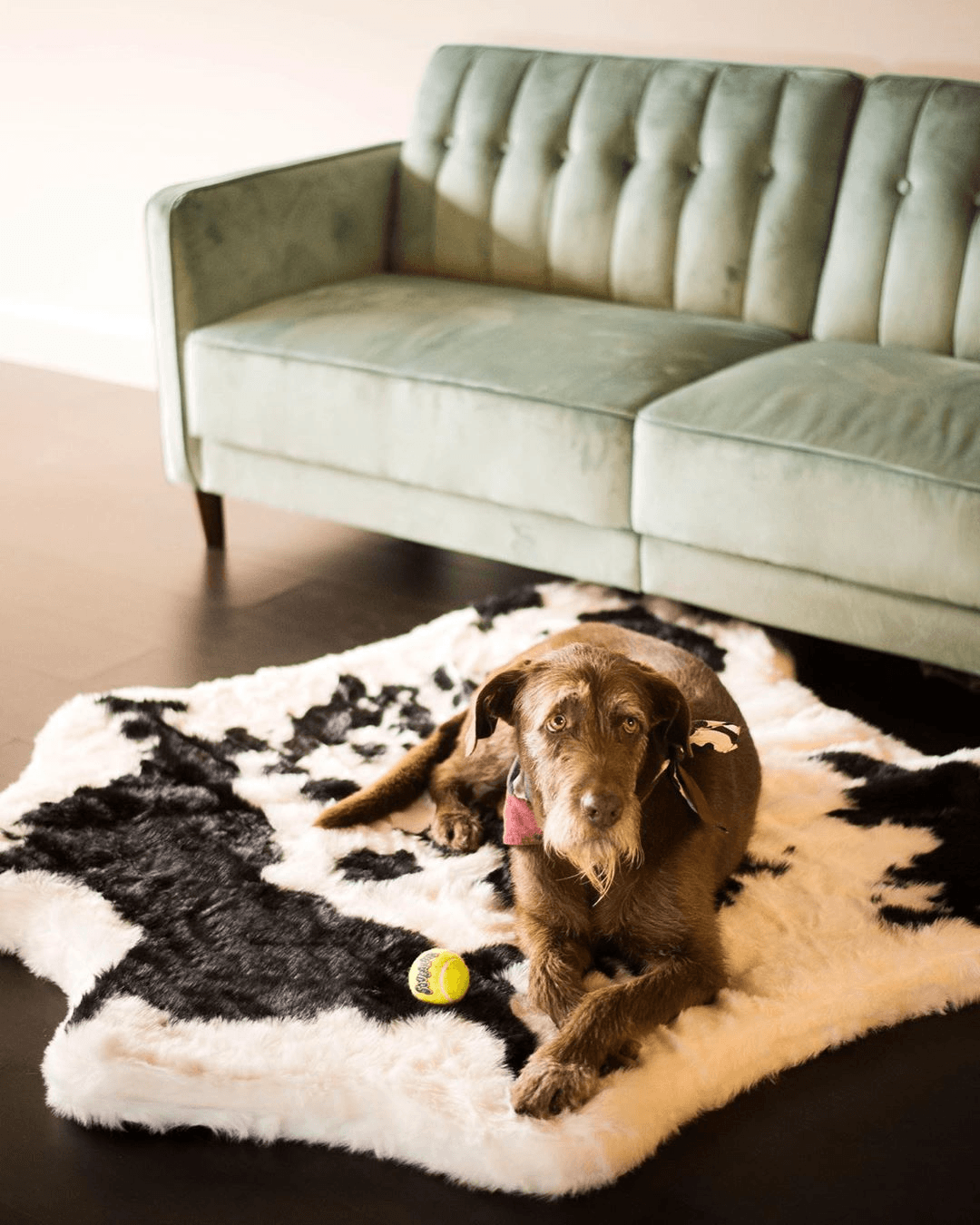 PupRug™ Animal Print Memory Foam Dog Bed - Black Faux Cowhide、mySite、solidvoid