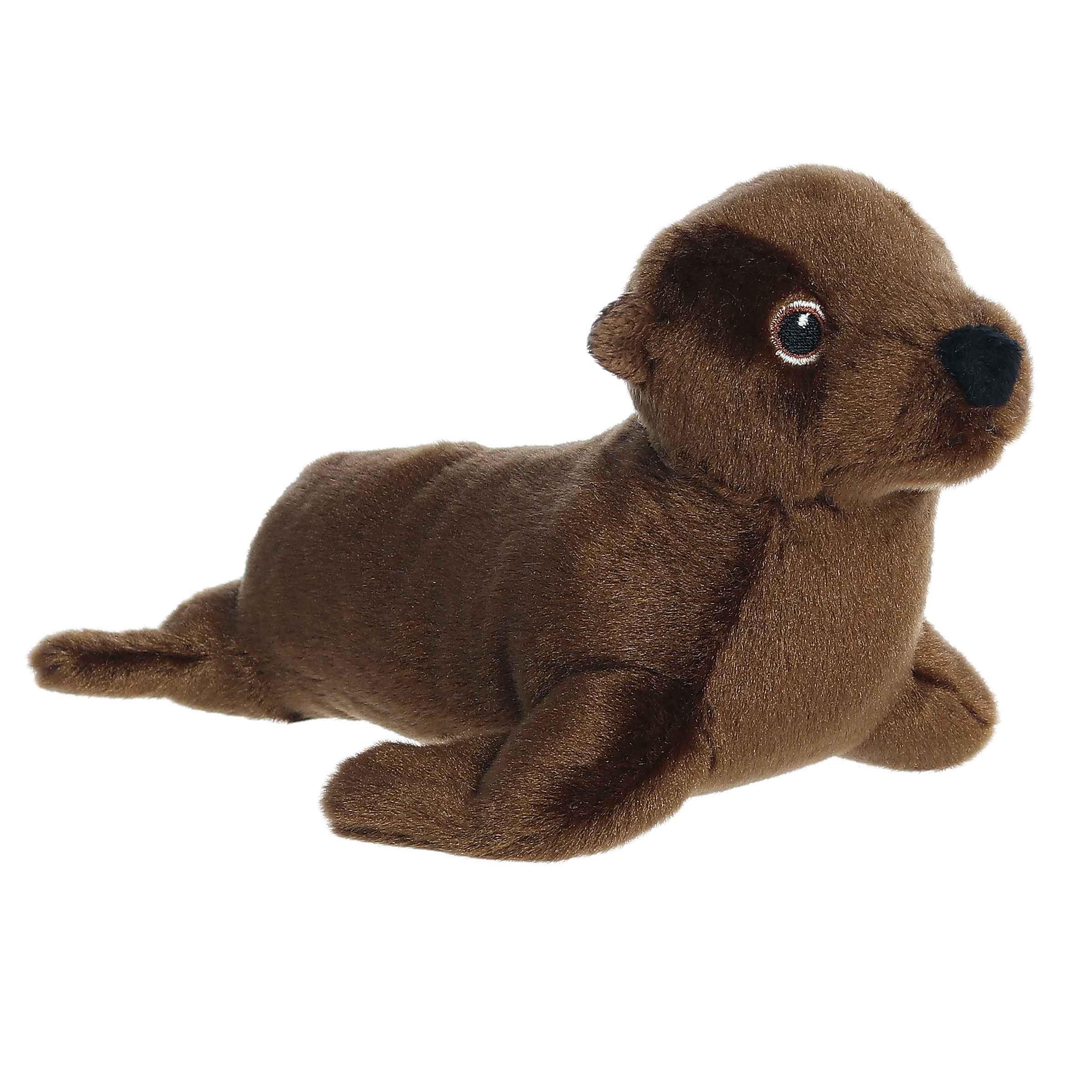 Aurora® - Eco Nation™ - Eco Softies™ - 8 California Sea Lion、mySite、g9winljtr