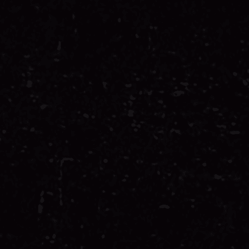 TC Ebony、mySite、neckold