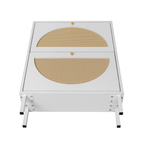 2 Door Shoe Rack, Rattan, Double Layer, Suitable for Living Room, Hallway、、casual