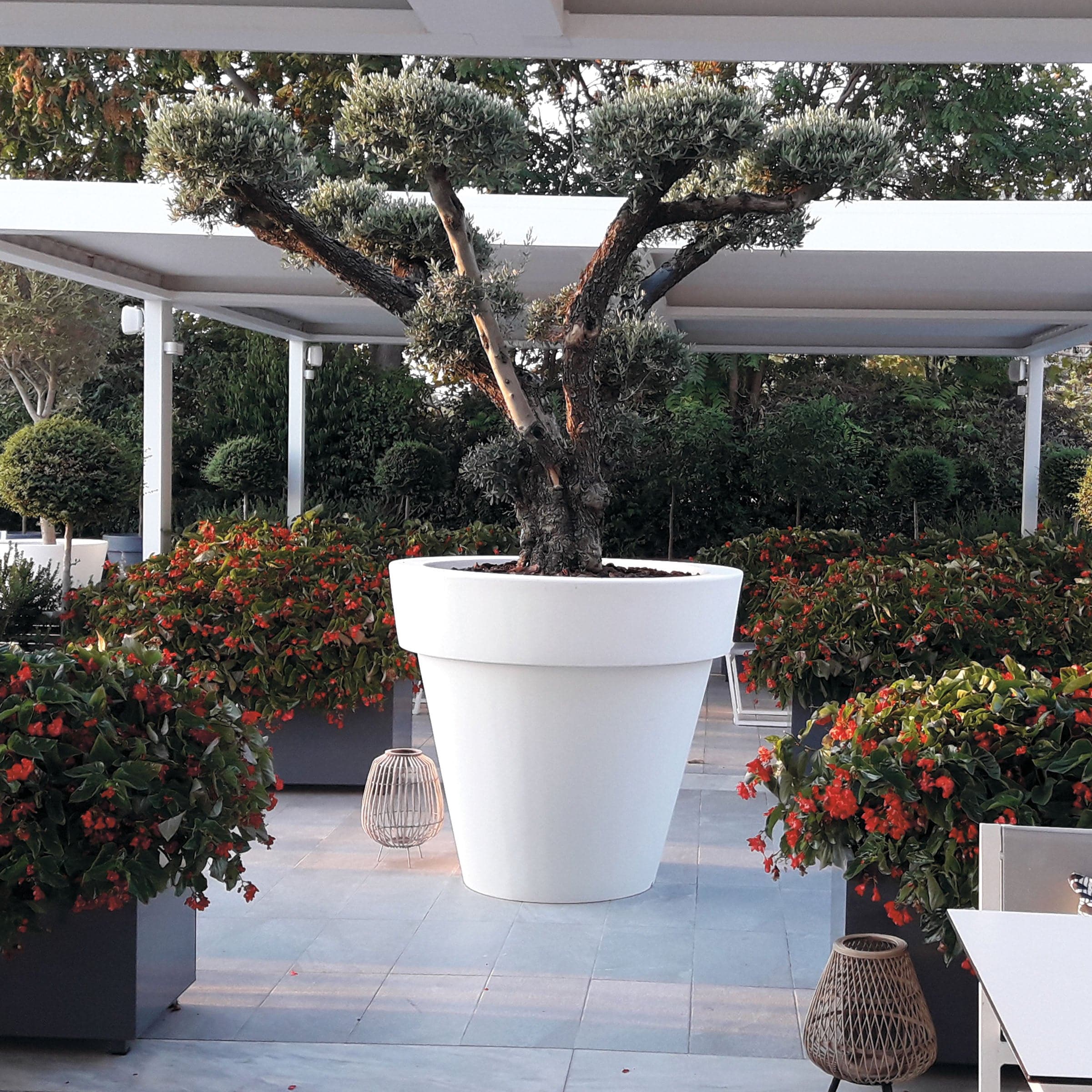 Outdoor Vase VAS FAMILY & BIG BO by Luisa Bocchietto for Serralunga、mySite、neckold