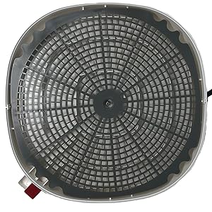 egg tray