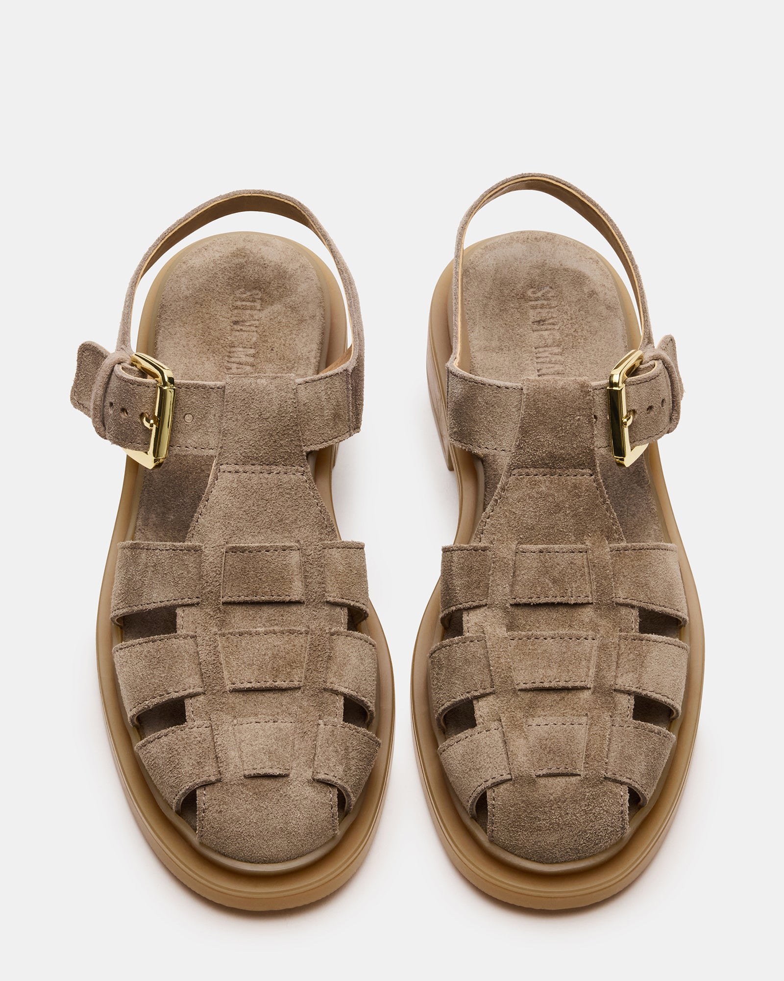 TOPE GREY SAGE、mySite、gtrtttuynbv