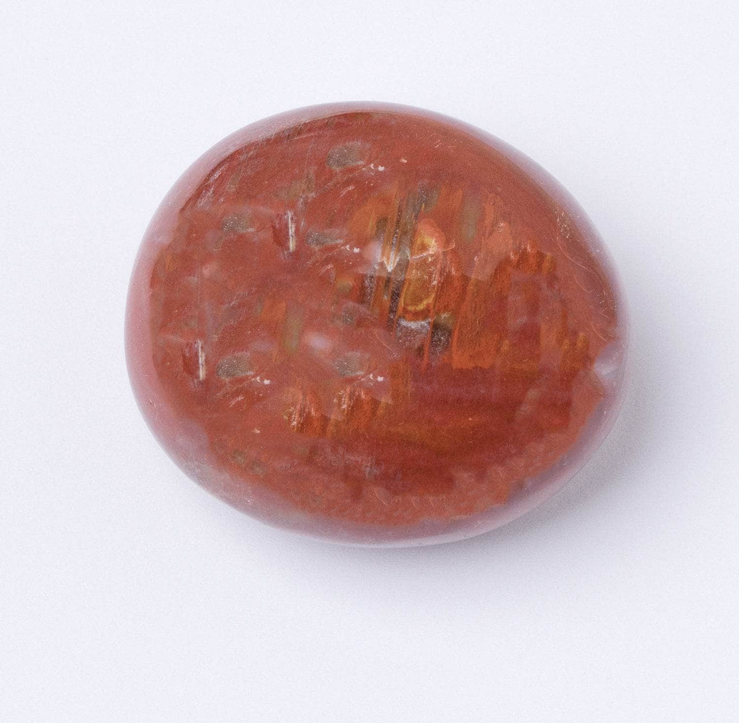 Petrified Wood Palm Stones - AAA Premium Quality、mySite、hinf8tx79