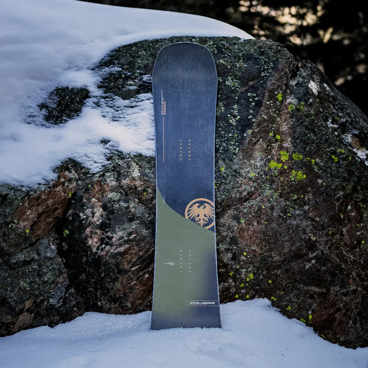 Men’s 2025 Recurve Traditional Camber Cougar Snowboard (Proform)、mySite、i-lightchina