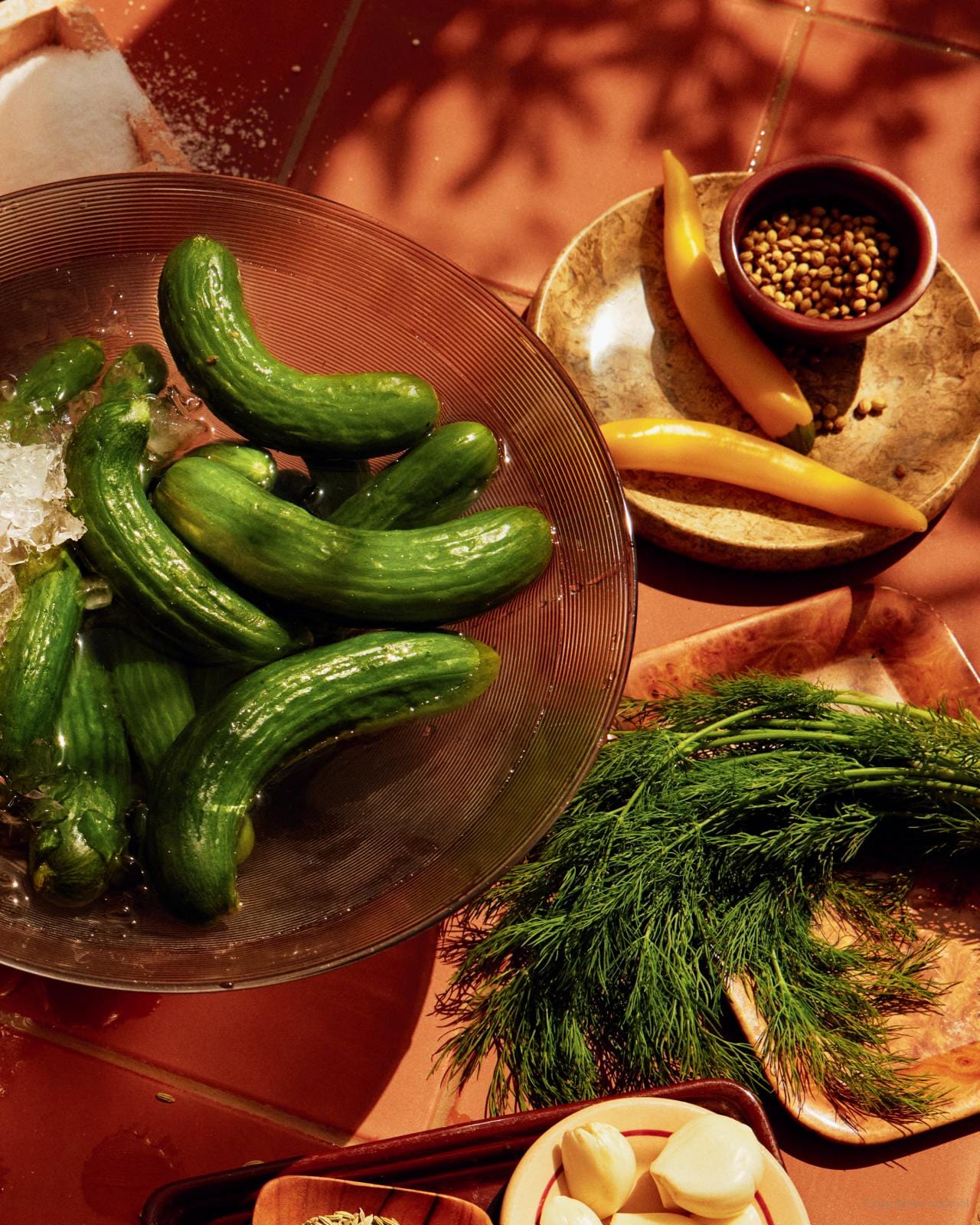 Tahini Baby: Bright, Everyday Recipes That Happen to Be Vegetarian - Hardcover、mySite、topwebapps