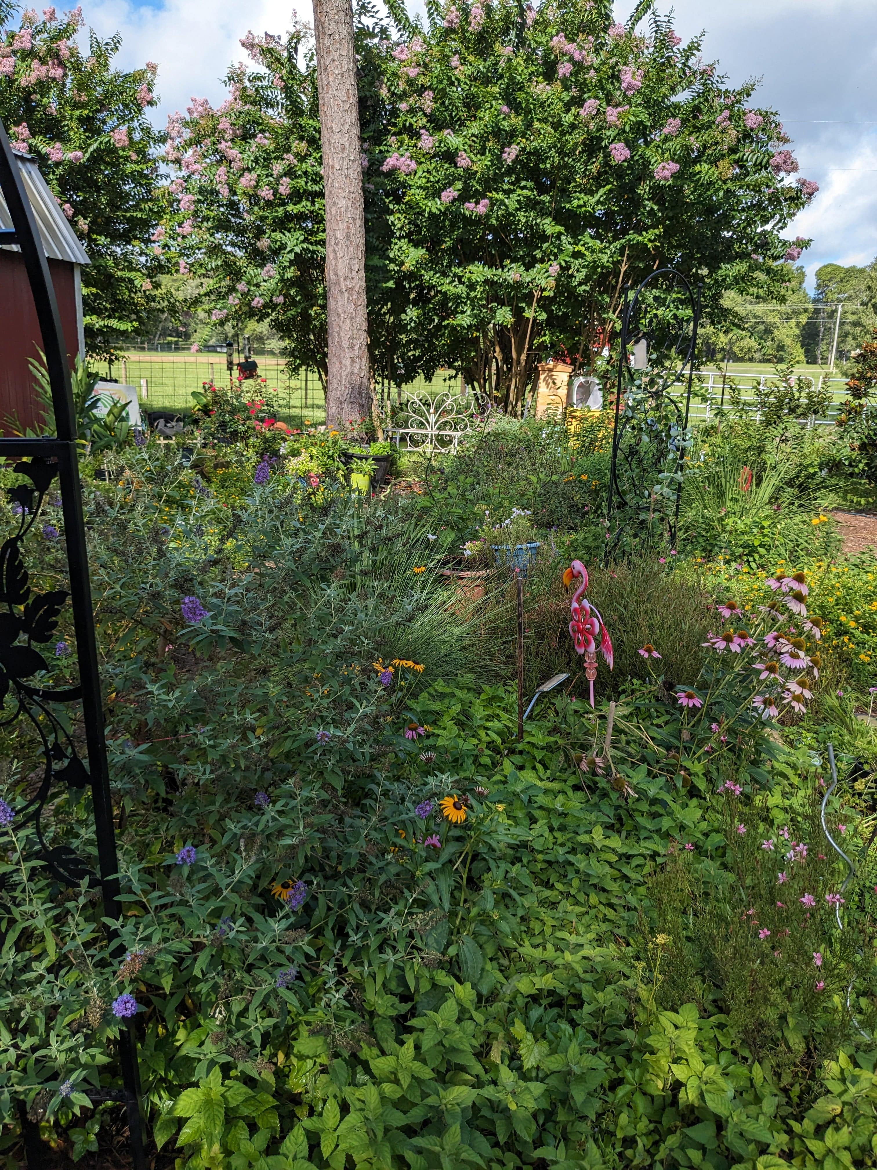 Wedding Ceremony with Rescued Farm Animals & Butterflies!、mySite、g9winljtr